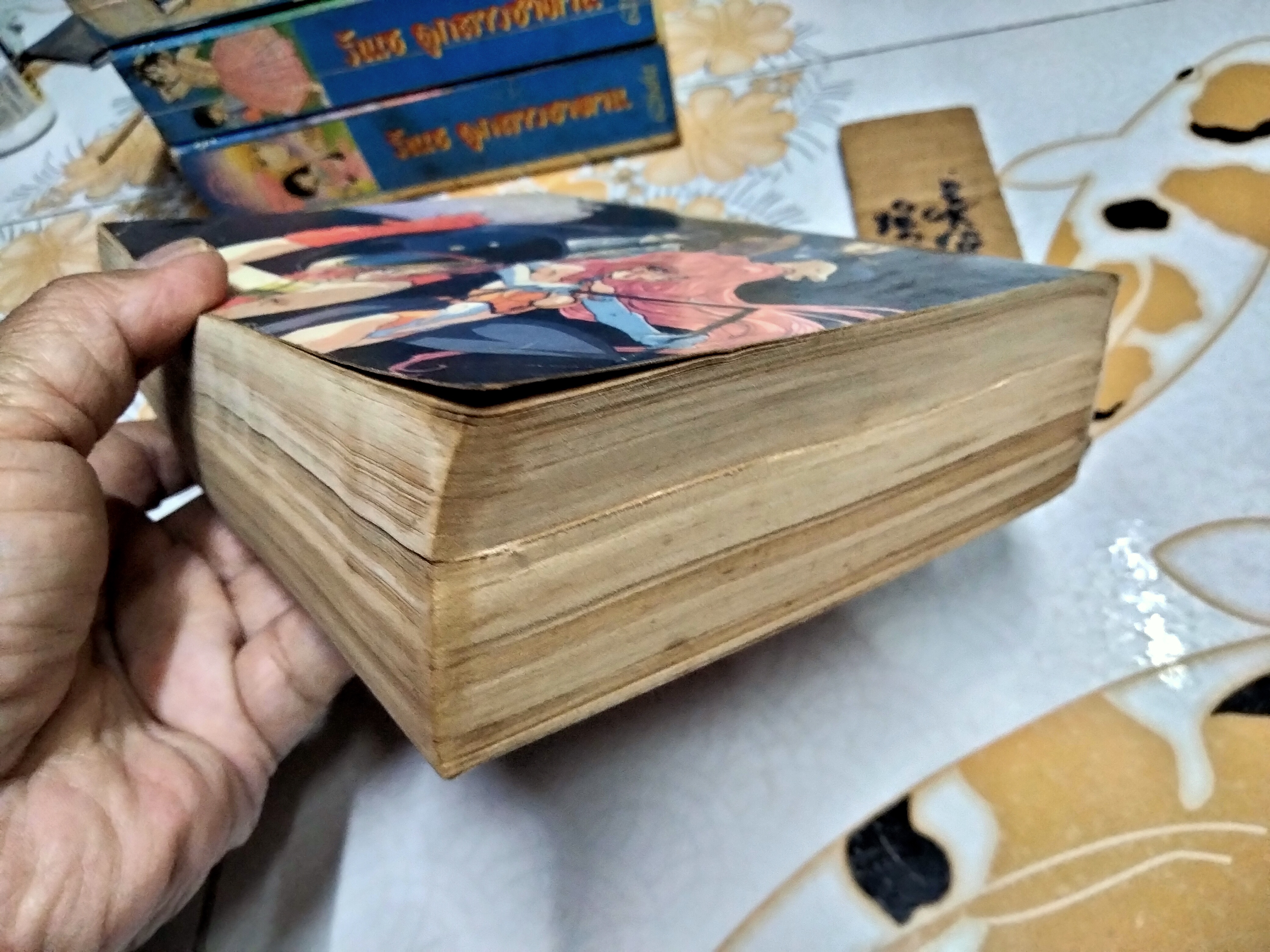 รันเซ ลูกสาวซาตาน ภาค 1 (5 เล่มจบ) ผลงานเก่าหายากชอง IKEINO KOI (ตำหนิเล่ม 3)