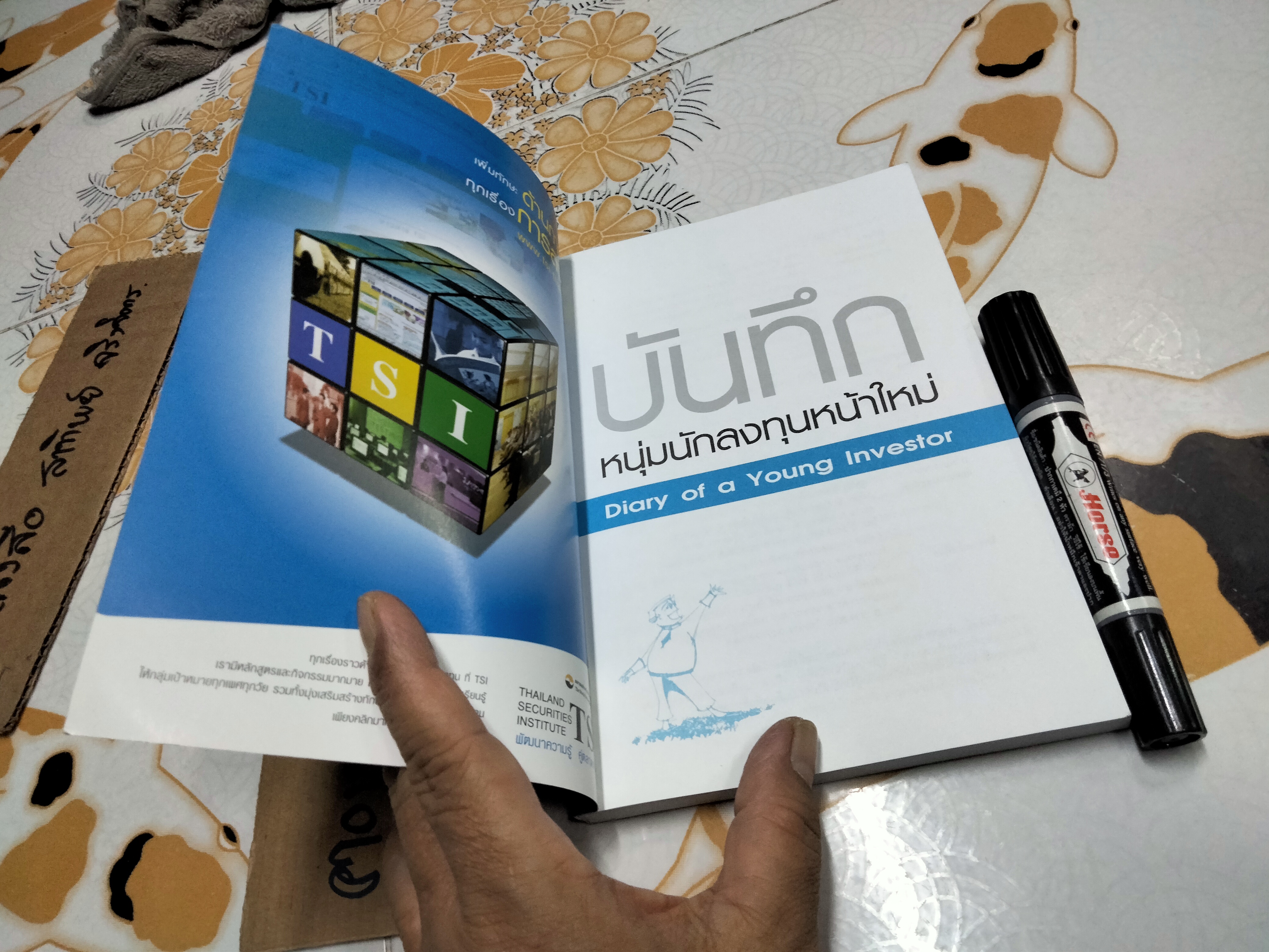 บันทึกนักลงทุนหน้าใหม่ (Diary of a Young Investor) โดยเพชร บุษราคัม **สินค้าหมด**