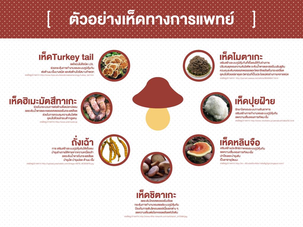 สารสกัดจากเห็ดรวม 8 ชนิด Organically Grown Fermented Mushroom Complete 600 mg 60 VegCaps (Solaray®)