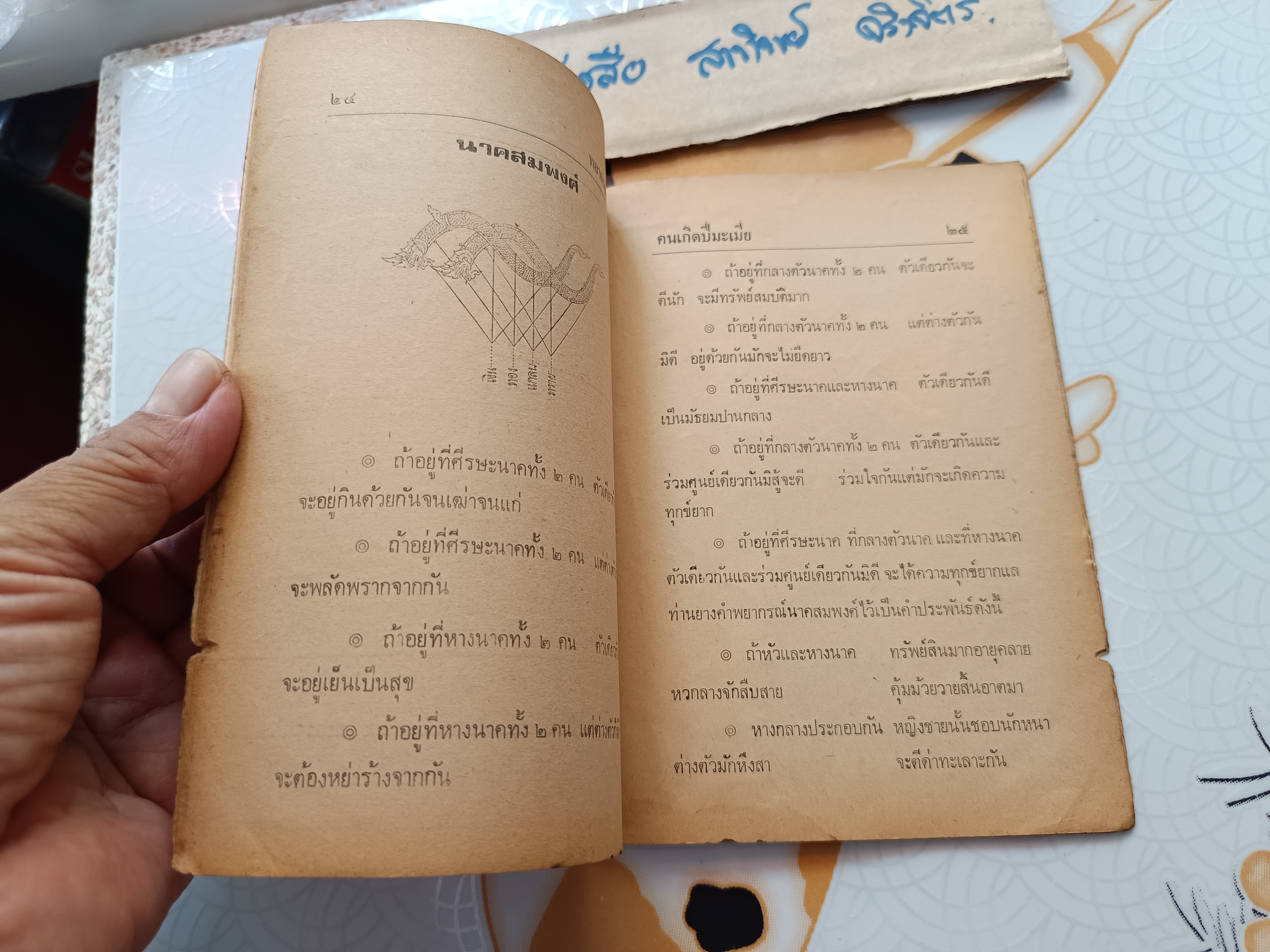 พยากรณ์ชีวิต คนเกิดปีมะเมีย (ม้า)