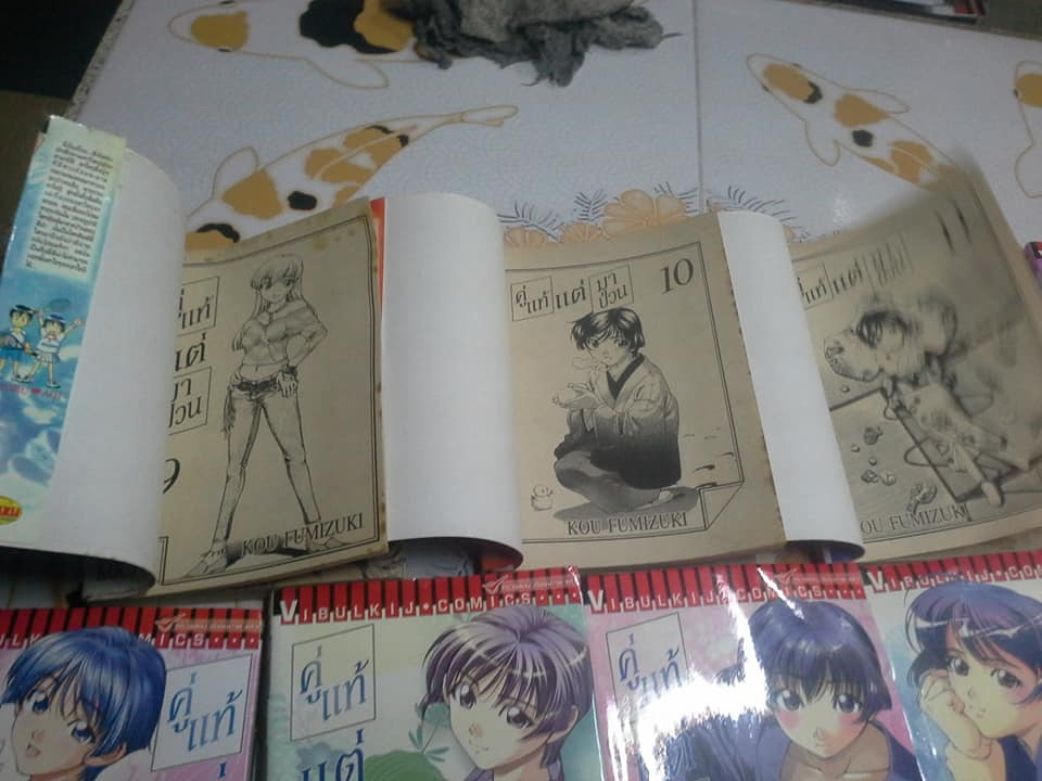 หนังสือการ์ตูน คู่แท้แต่มาป่วน (17 เล่มจบ) โดย KOU FUMIZUKI ขนาด BigBook