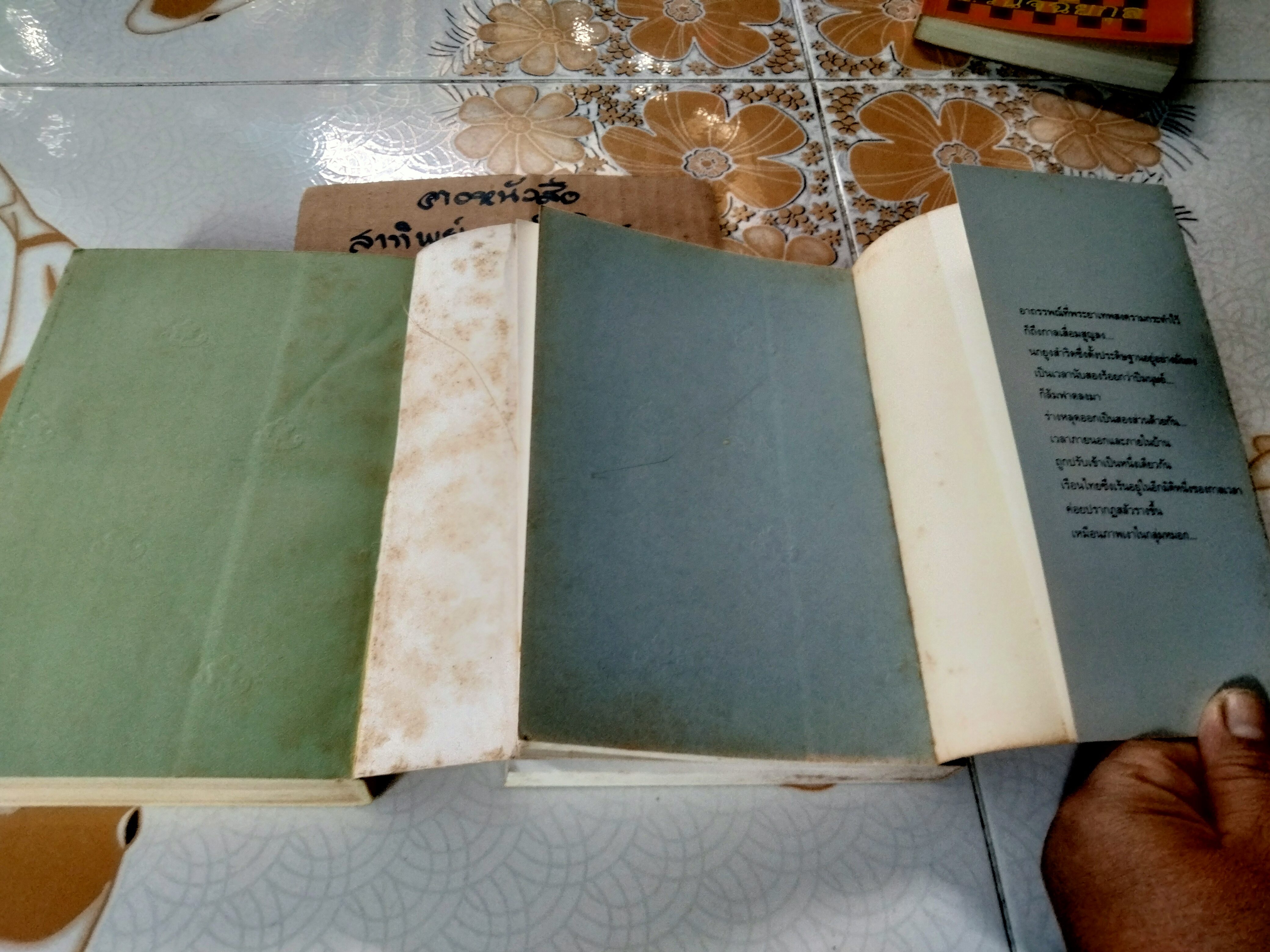 เรือนมยุรา (2 เล่มจบ- พิมพ์คนละครั้ง) แก้วเก้า