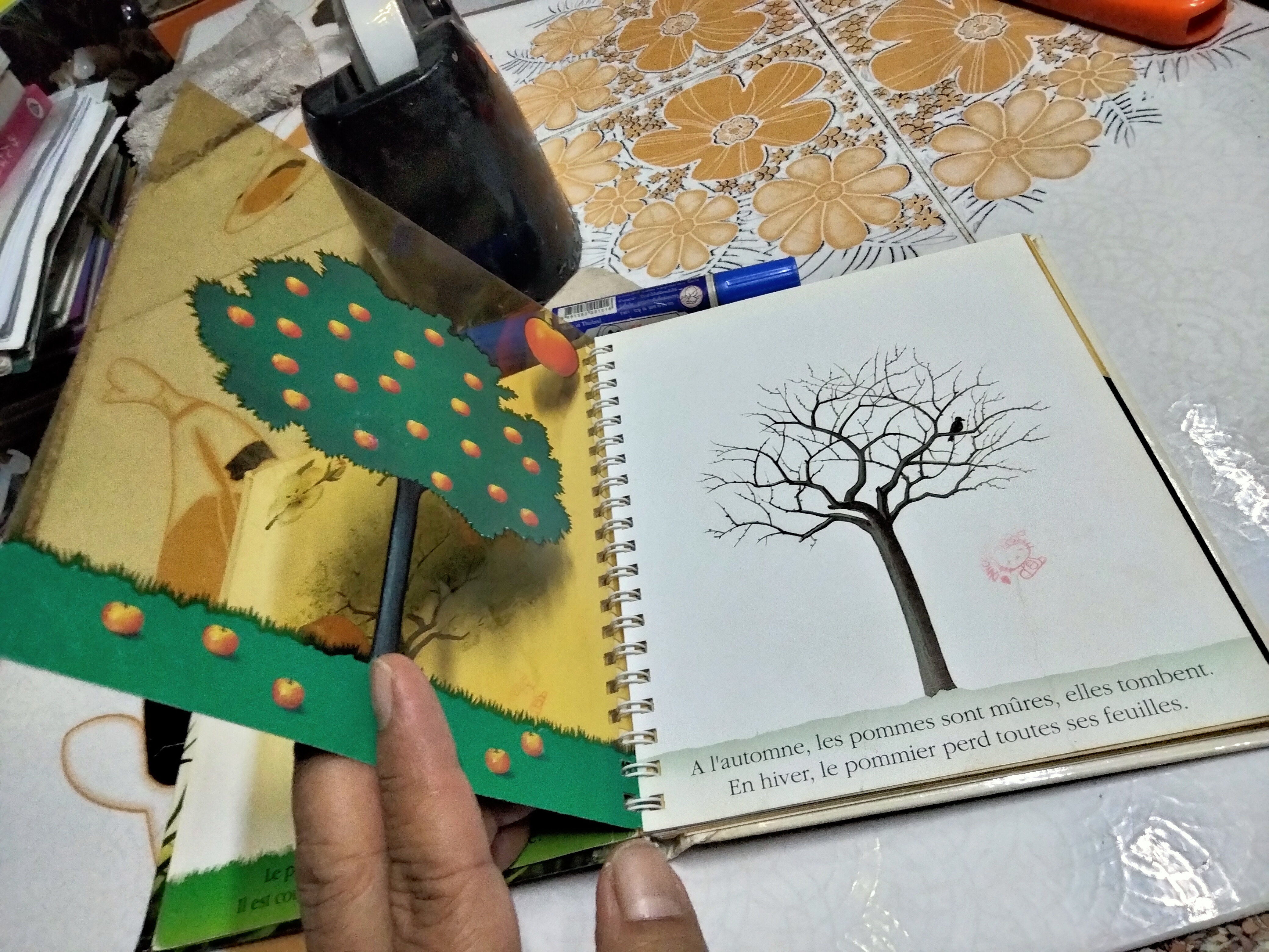 My First Discoveries Book - La pomme - ภาษาฝรั่งเศส (หนังสือจากห้องสมุด)