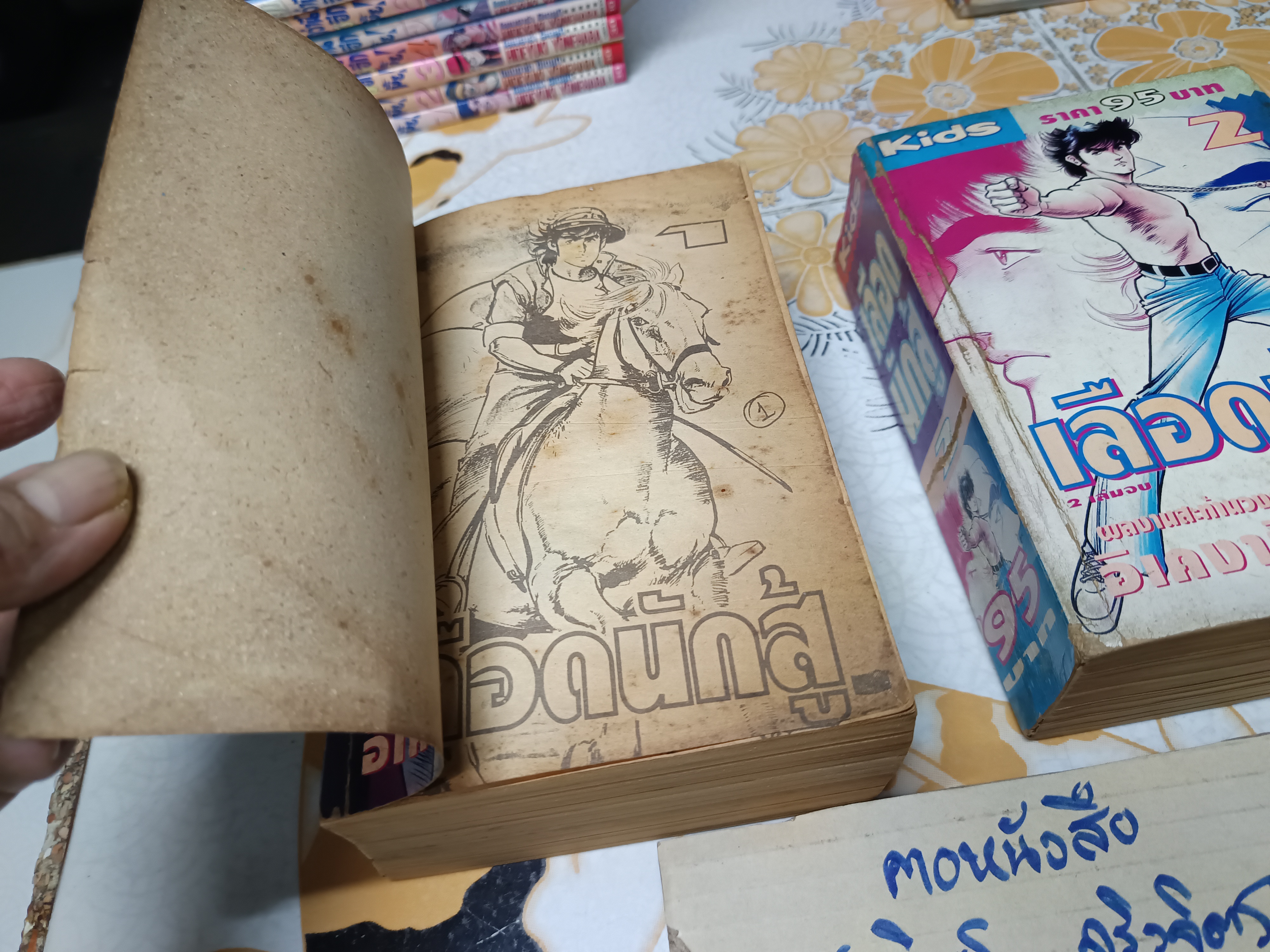 เลือดนักสู้ ( 2 เล่มจบ) อิเคงามิ เรียวอิจิ