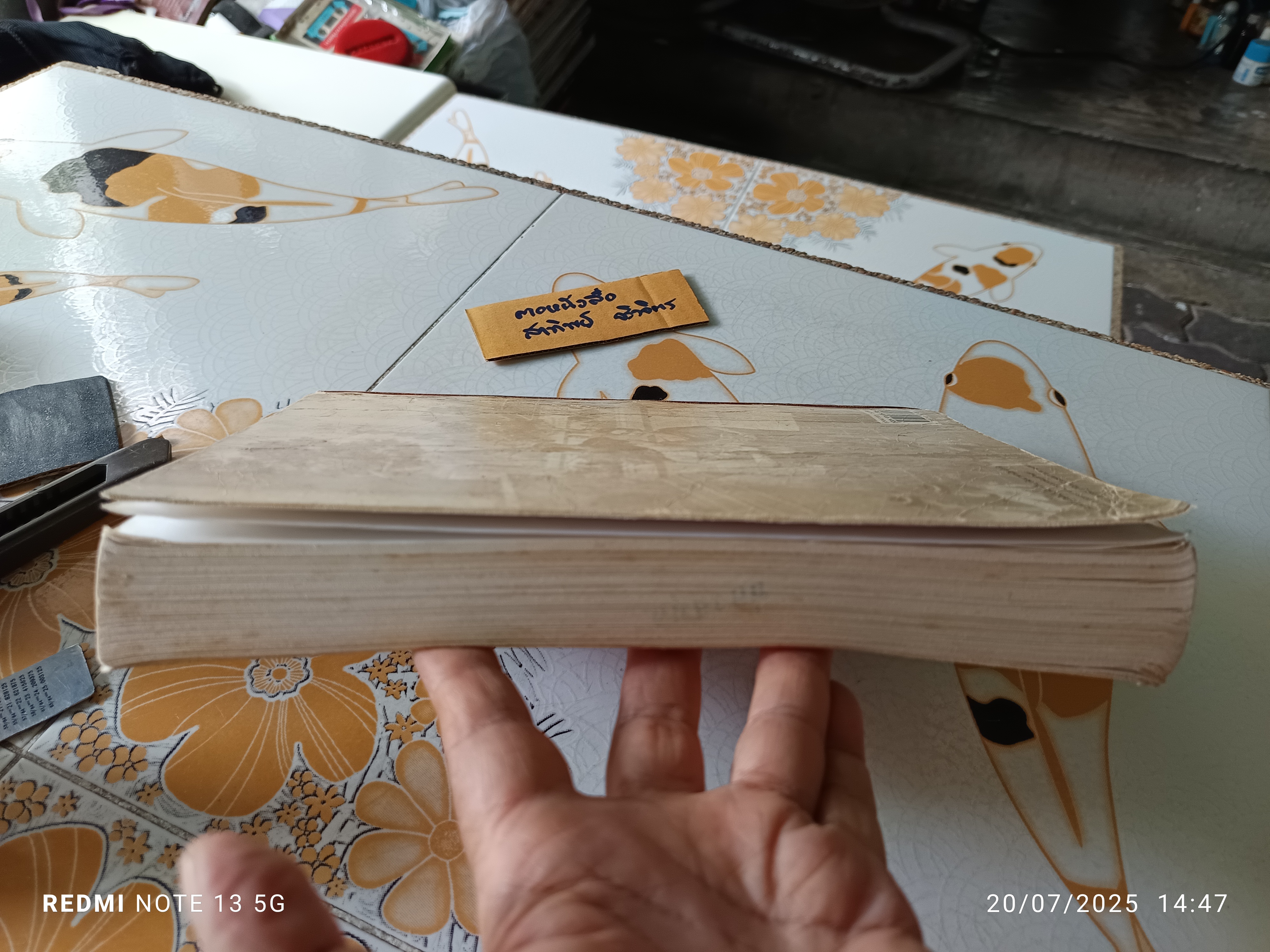 ประวัติวรรณคดีไทย โดย เปลื้อง ณ นคร **หนังสือจำหน่ายจากห้องสมุด / สภาพพอใช้ ** ติดเทปผ้าที่สันหนังสือ