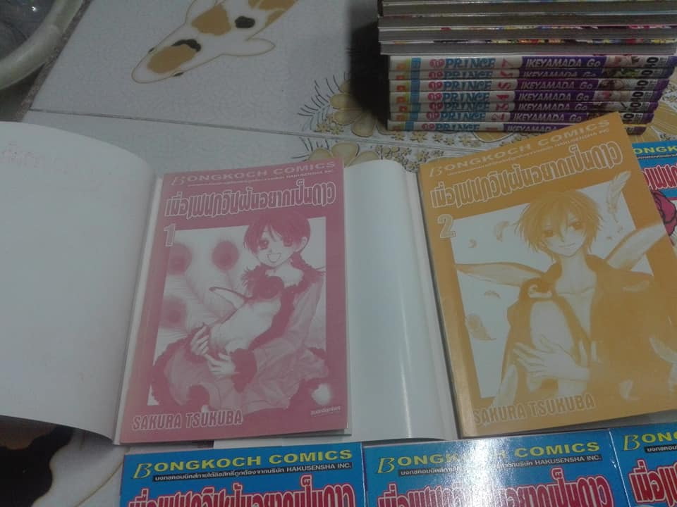 เมื่อเพนกวินฝันอยากเป็นดาว (7 เล่มจบ) - SAKURA TSUKUBA