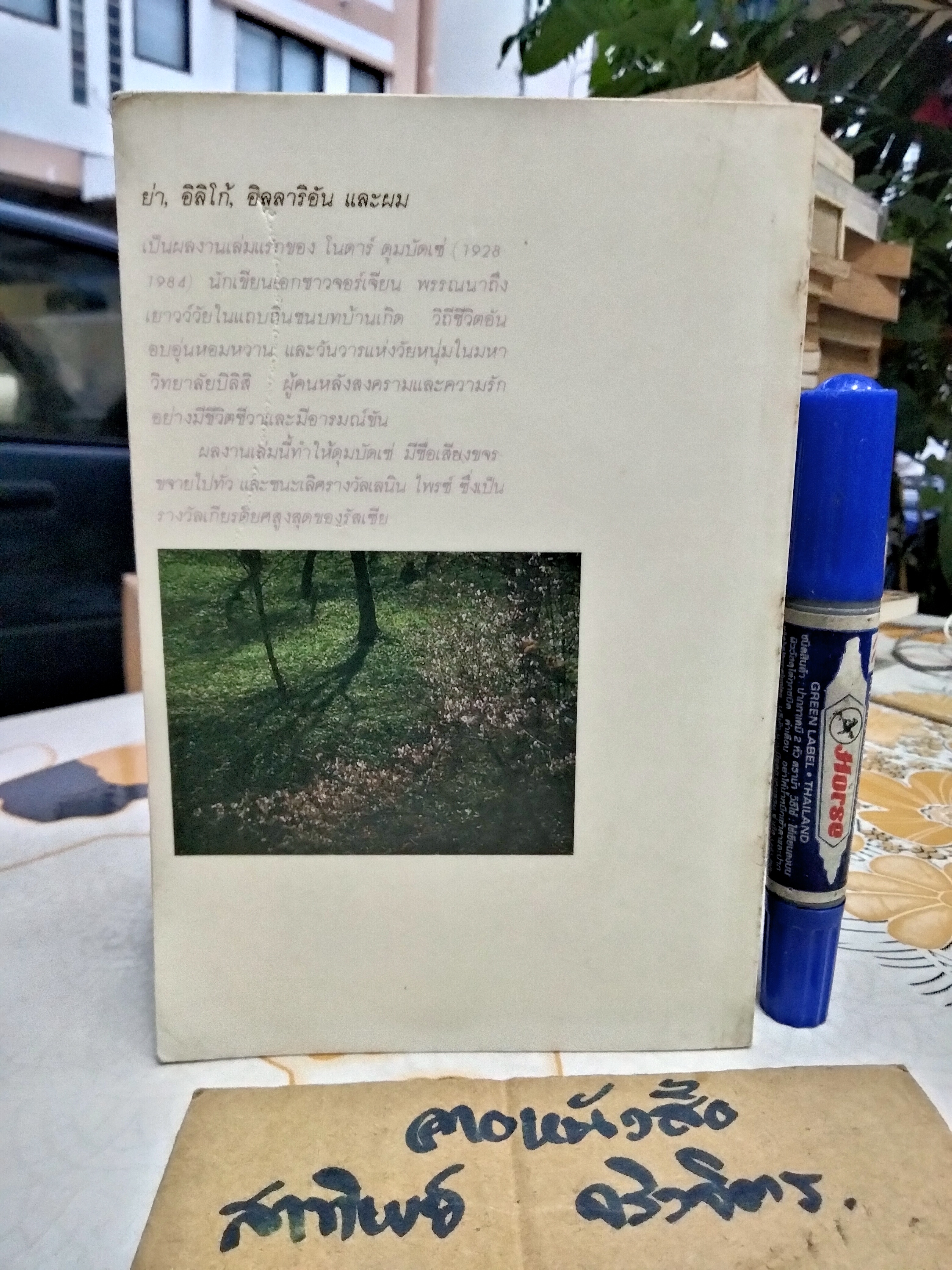 ย่า, อิลิโก้, อิลลาริอัน และผม (Granny, Iliko, Illarion and I) โนดาร์ ดุมบัดเซ่ เขียน วันยา อูน แปล **สินค้าหมด**