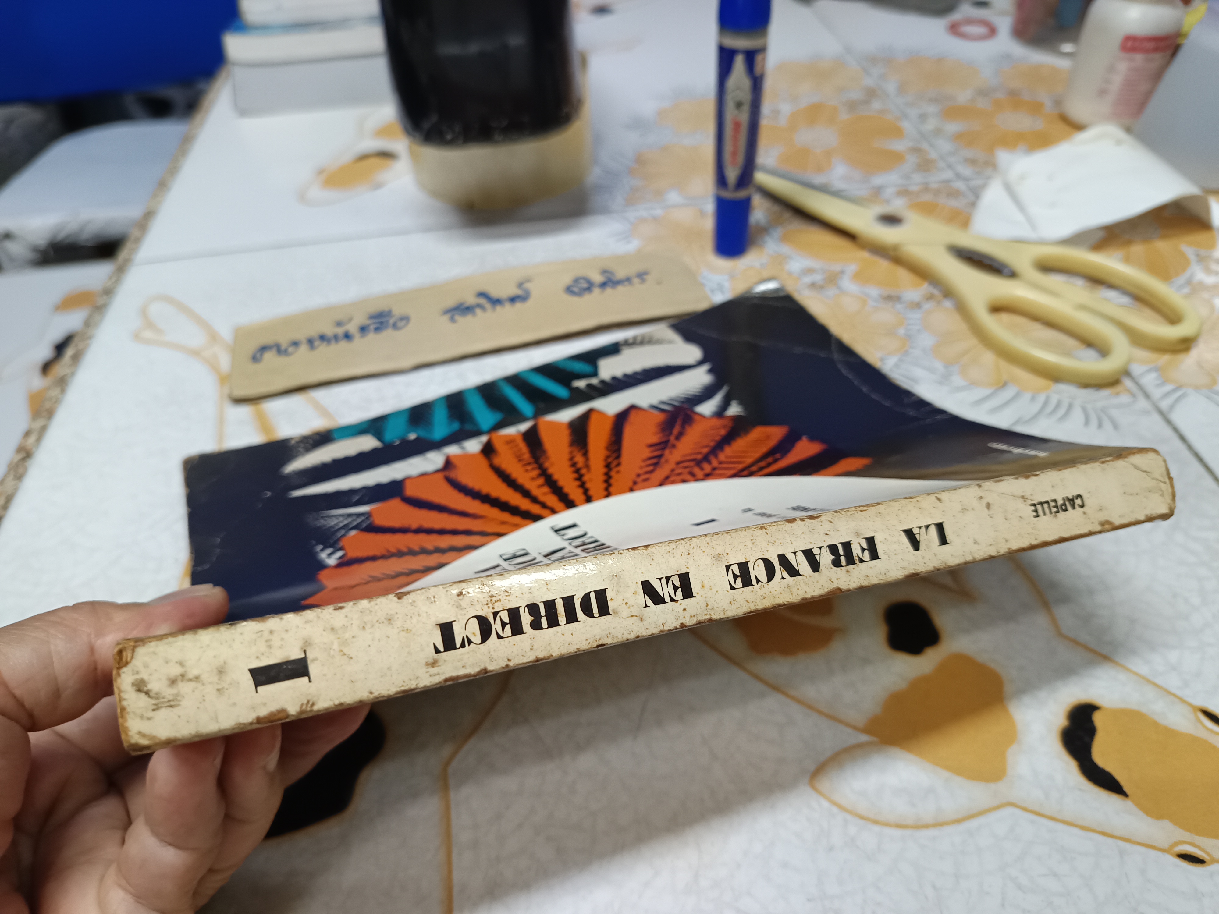 LA FRANCE EN DIRECT 1 EDITION POUR LA THAILANDE