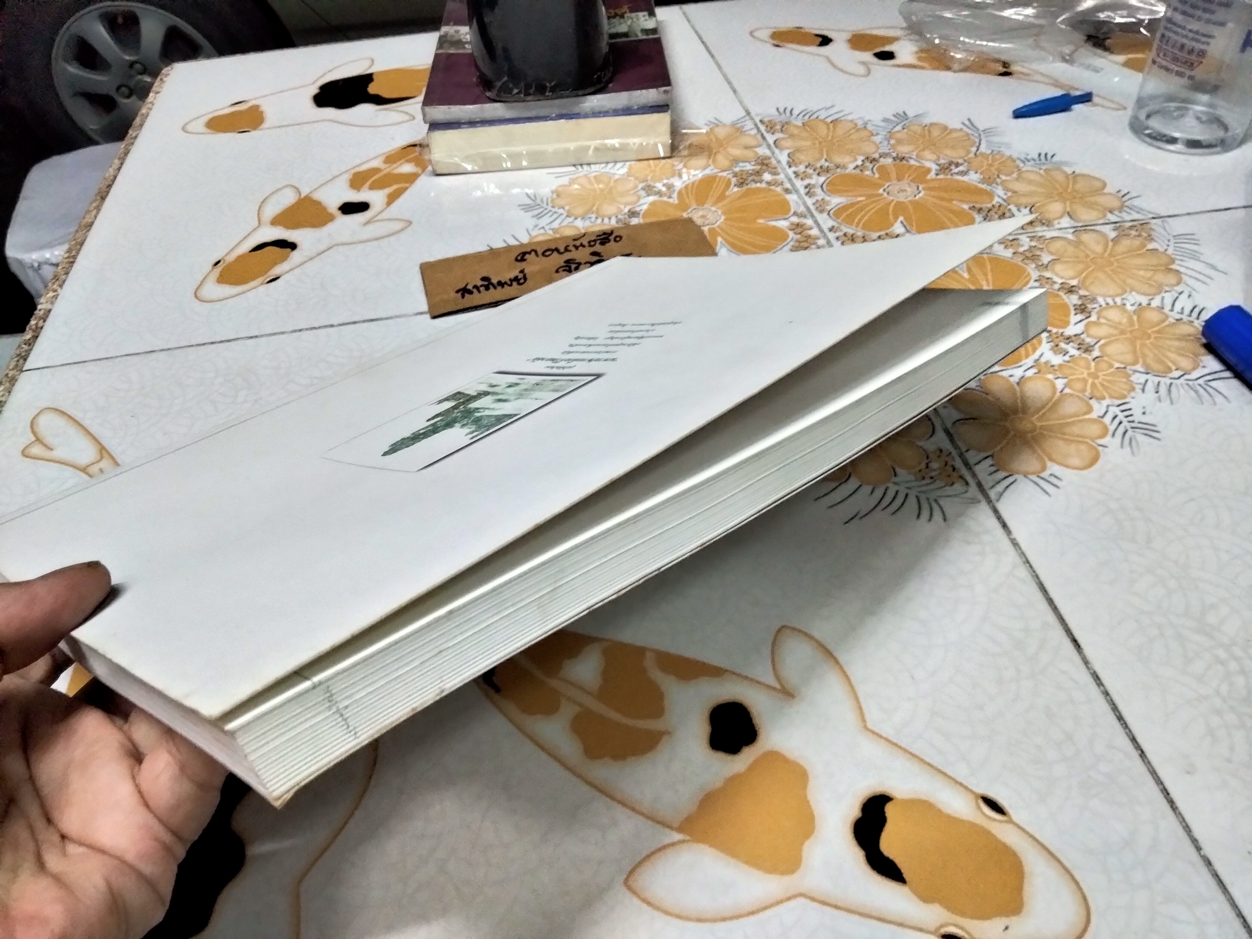 เส้นทางชีวิต แม่ชี คุณหญิง กนิษฐา วิเชียรเจริญ