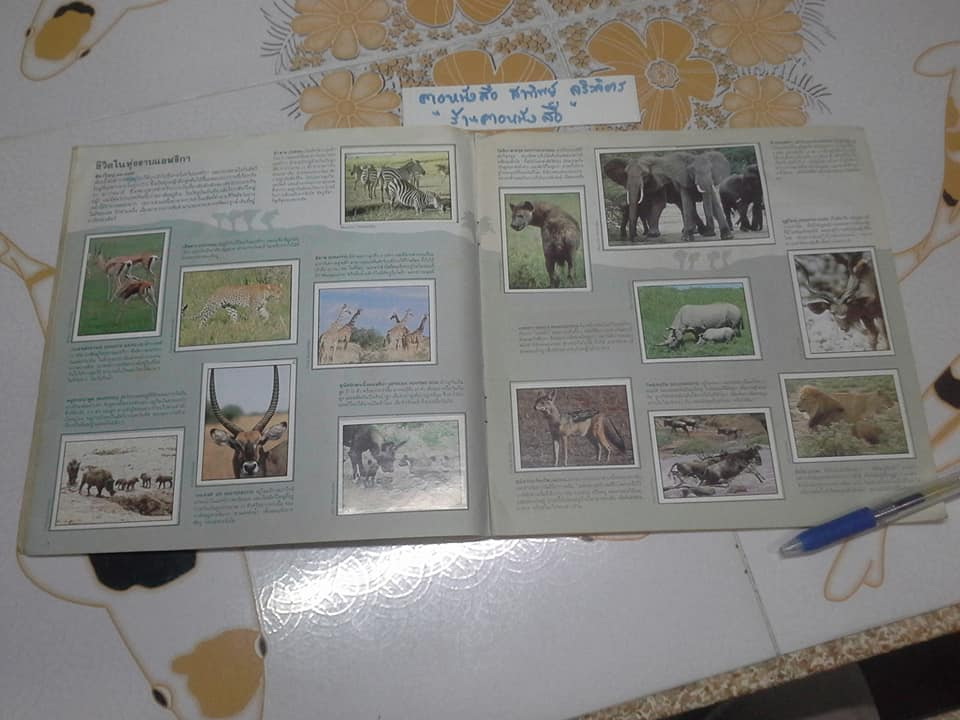 สมุดสะสมสติกเกอร์ ชีวิตสัตว์โลก - แปะครบ (ตัวเล่มมีคราบน้ำ มุมบนมีรอยยับ) **สินค้าหมด**