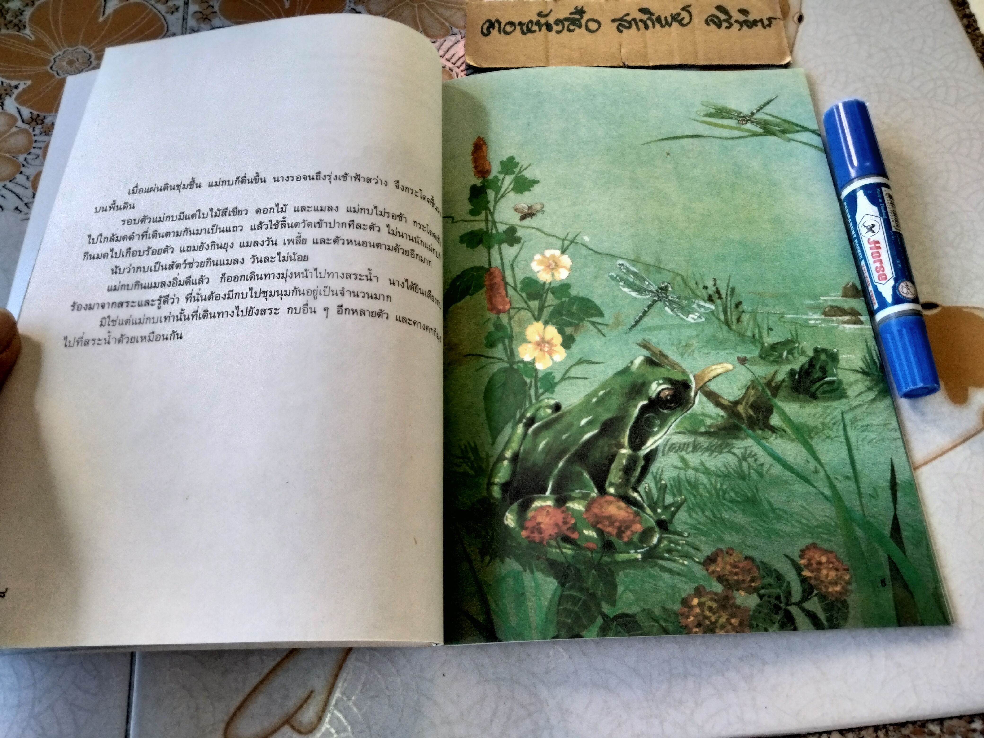 ในสระจ้อย #หนังสือส่งเสริมการอ่านระดับประถมศึกษา (หนังสือเตรียมทำหนังสือห้องสมุด-สภาพดี)