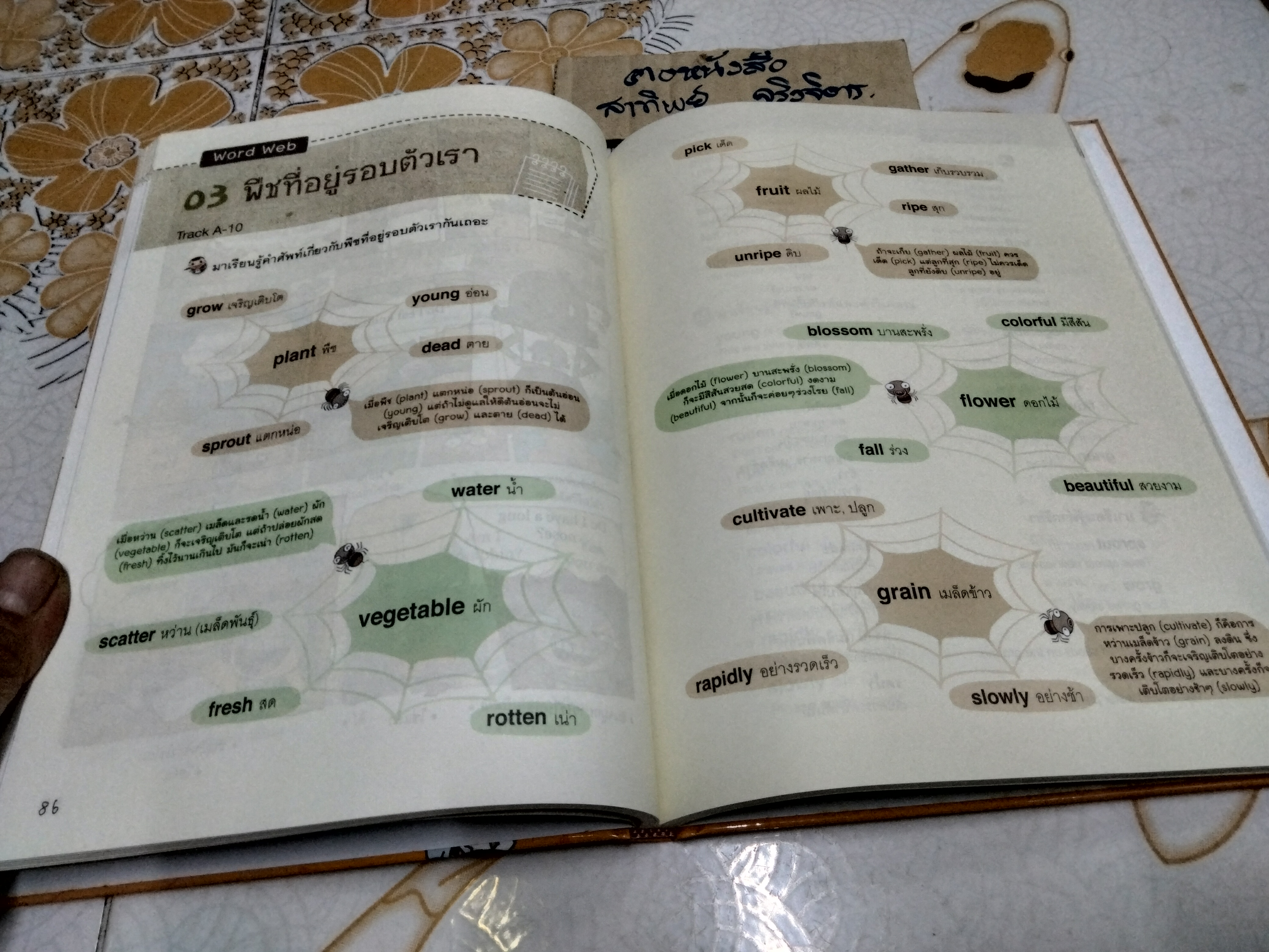 เรียนศัพท์อังกฤษ 700 คำ ด้วย Word Web + CD (ปกแข็ง)