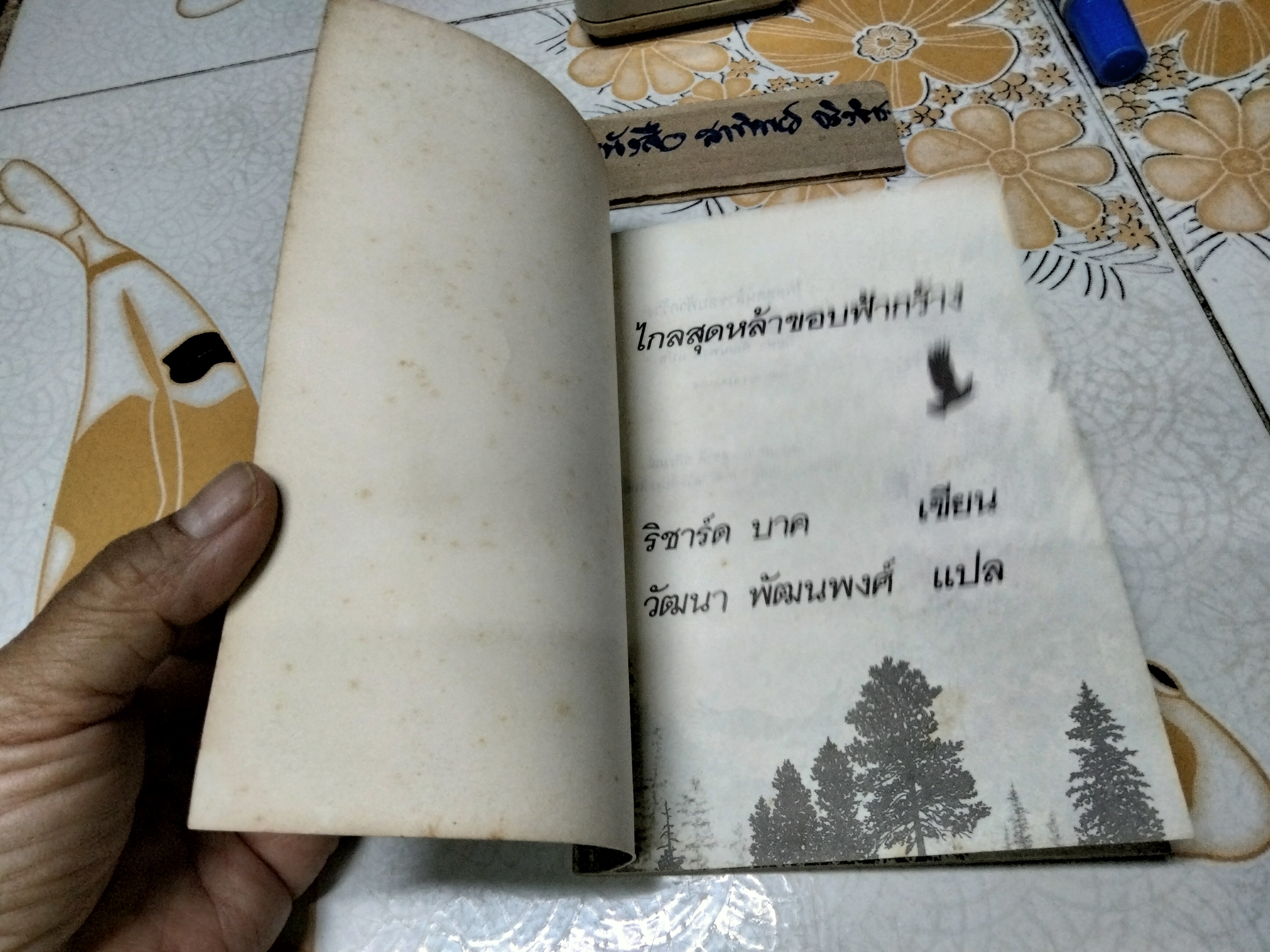 ไกลสุดหล้า ขอบฟ้ากว้าง จากเรื่อง There’s No Such Place as Far Away ของ ริชาร์ด บาค