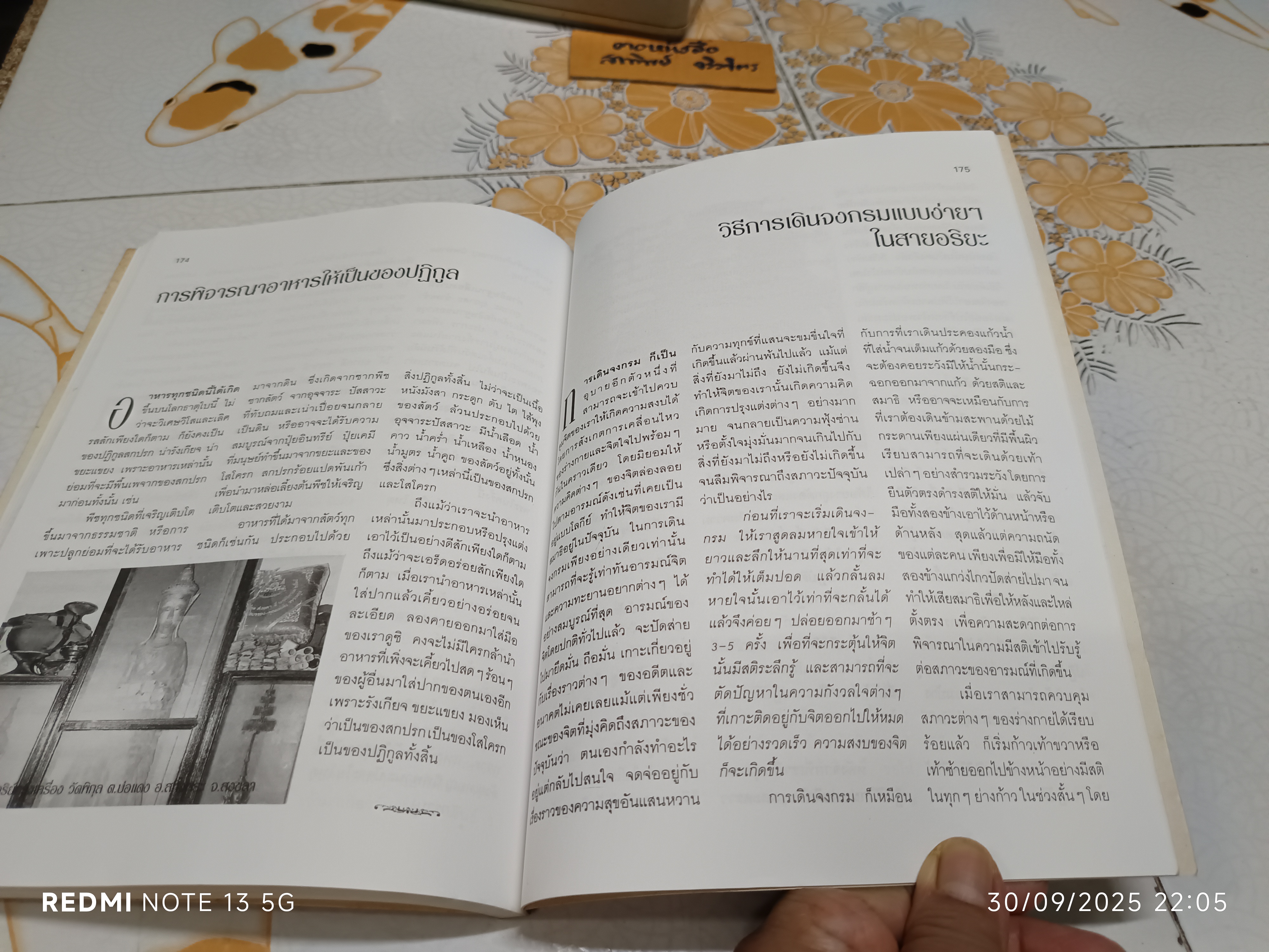 กว่าจะสำเร็จเป็น พระศรีอาริย์. โดย อริยะ / พุทธนิยาย ของ มหาโพธิสัตว์ ในการจุติเกิด