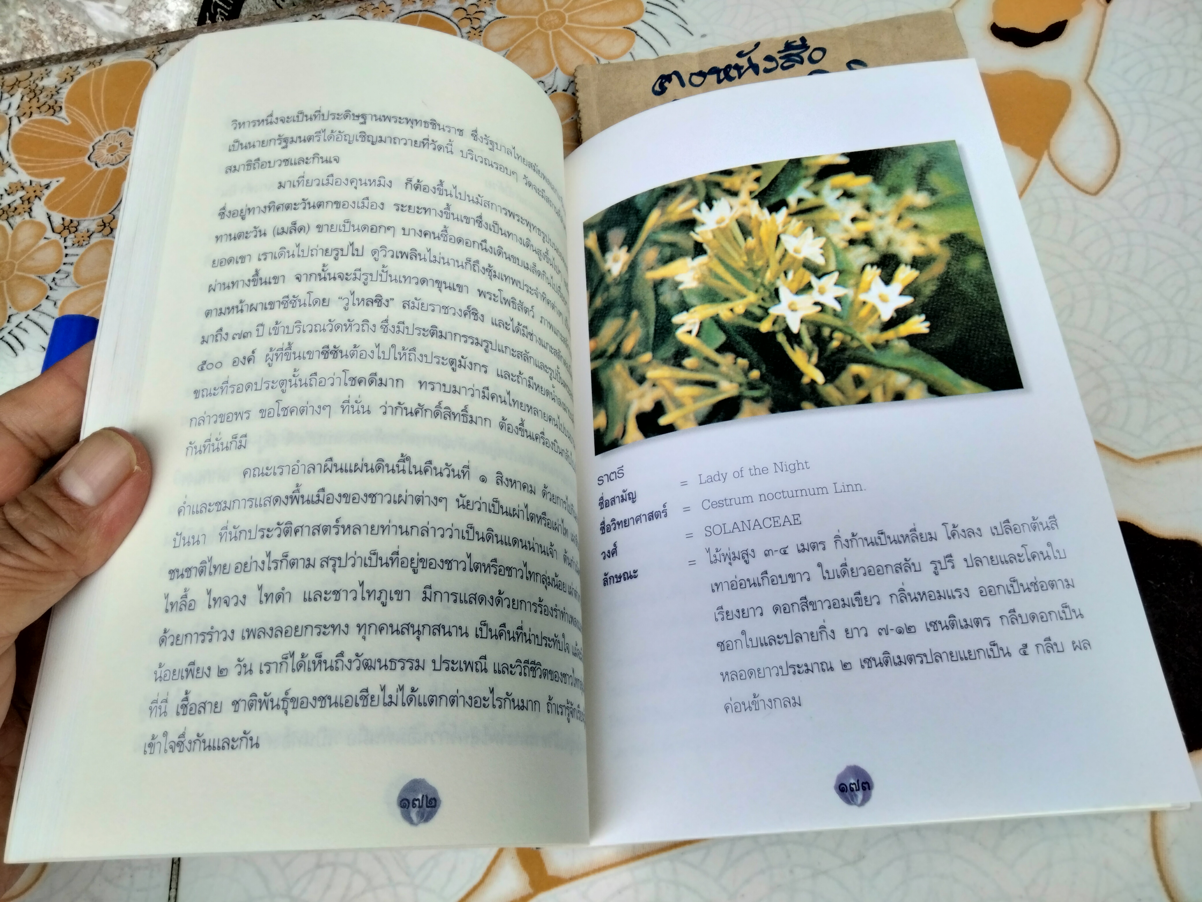 ดอกไม้ในสวน โดย เดือนฉาย คอมันตร์