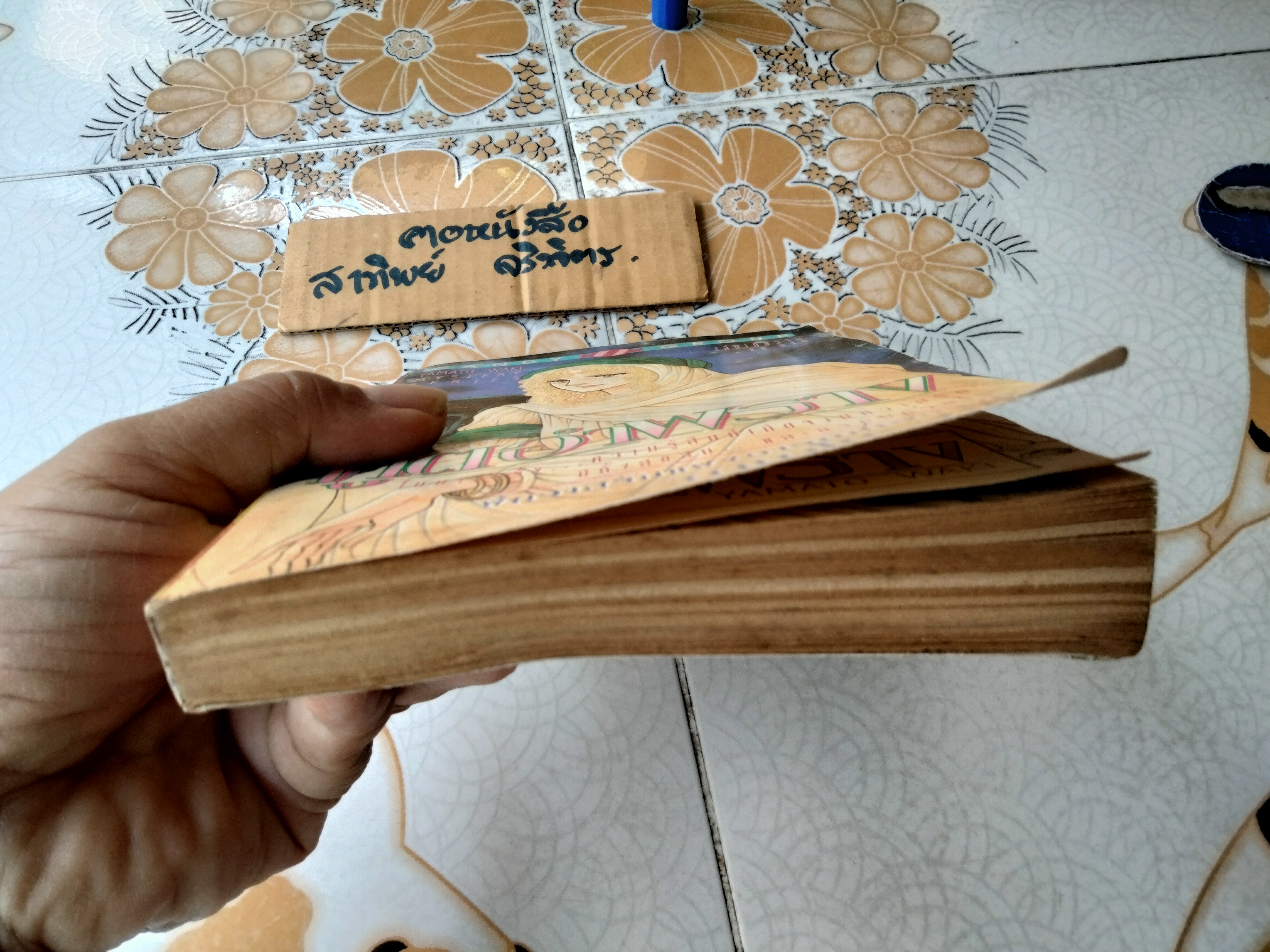 ภูติอำพราง (เล่มเดียวจบ) ยามาโตะ วากิ **สินค้าหมด**