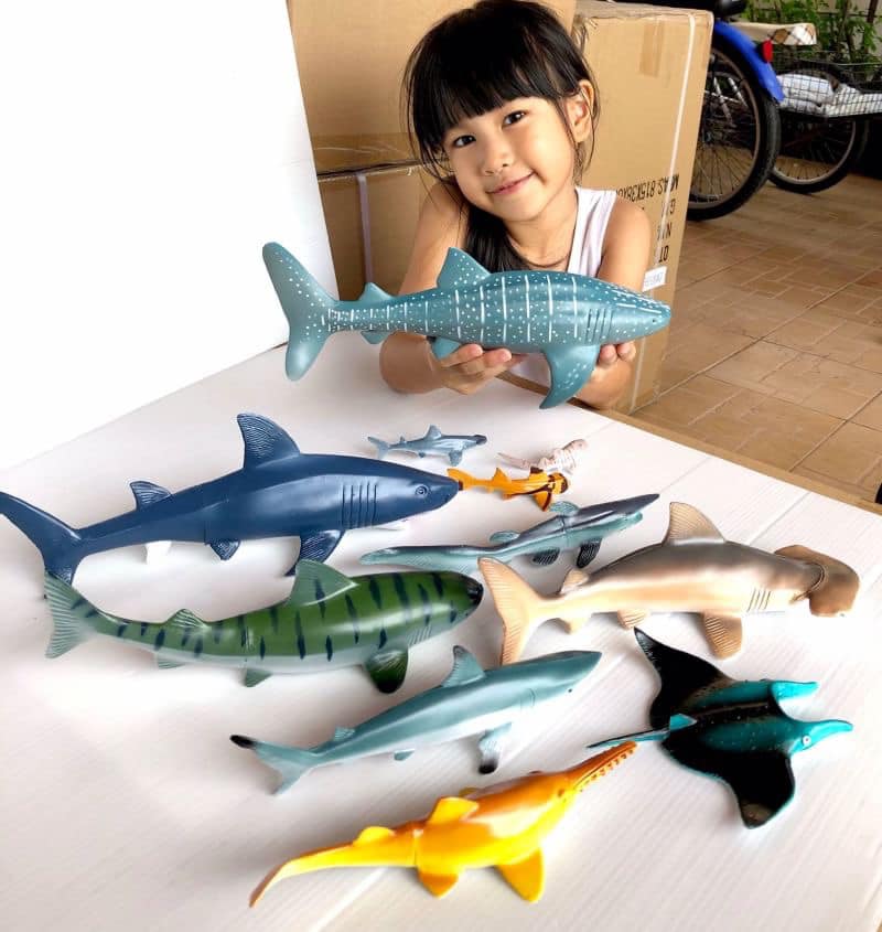 โมเดลฉลาม 11 ตัว