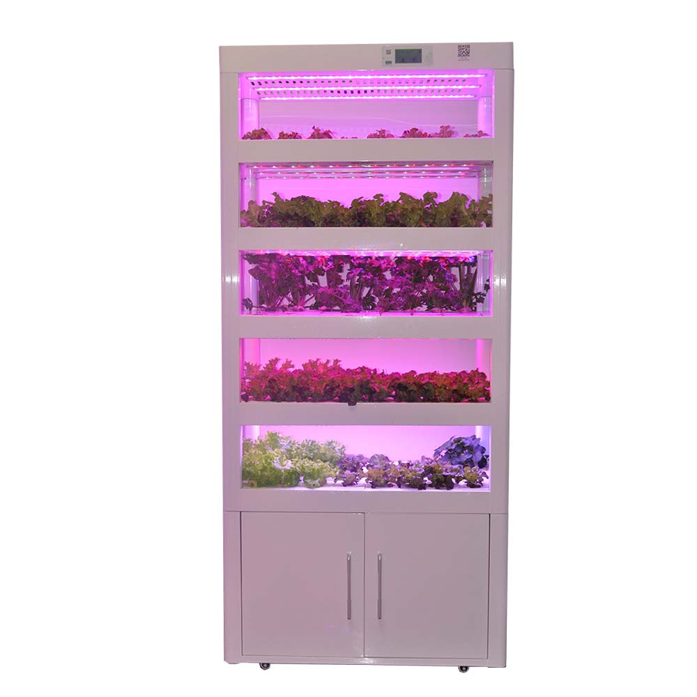 ตู้ปลูกผัก machine vegetable plant factory