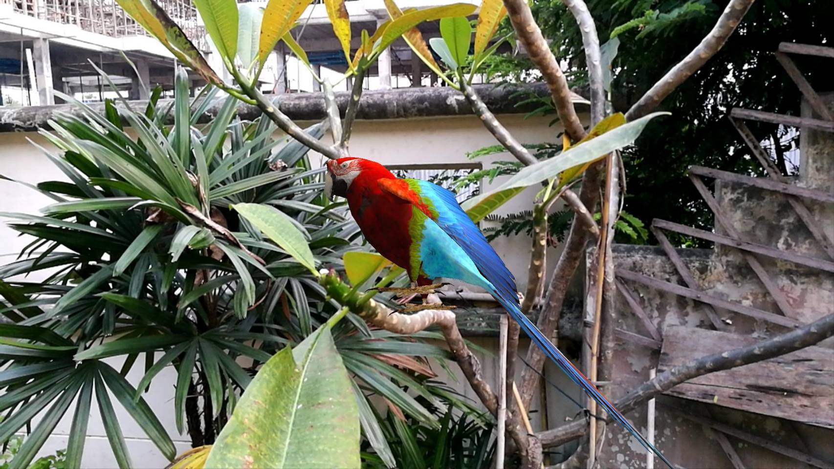 สื่อสามมิติ ด้านภาษา