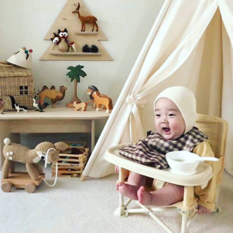 เก้าอี้เด็กพกพา