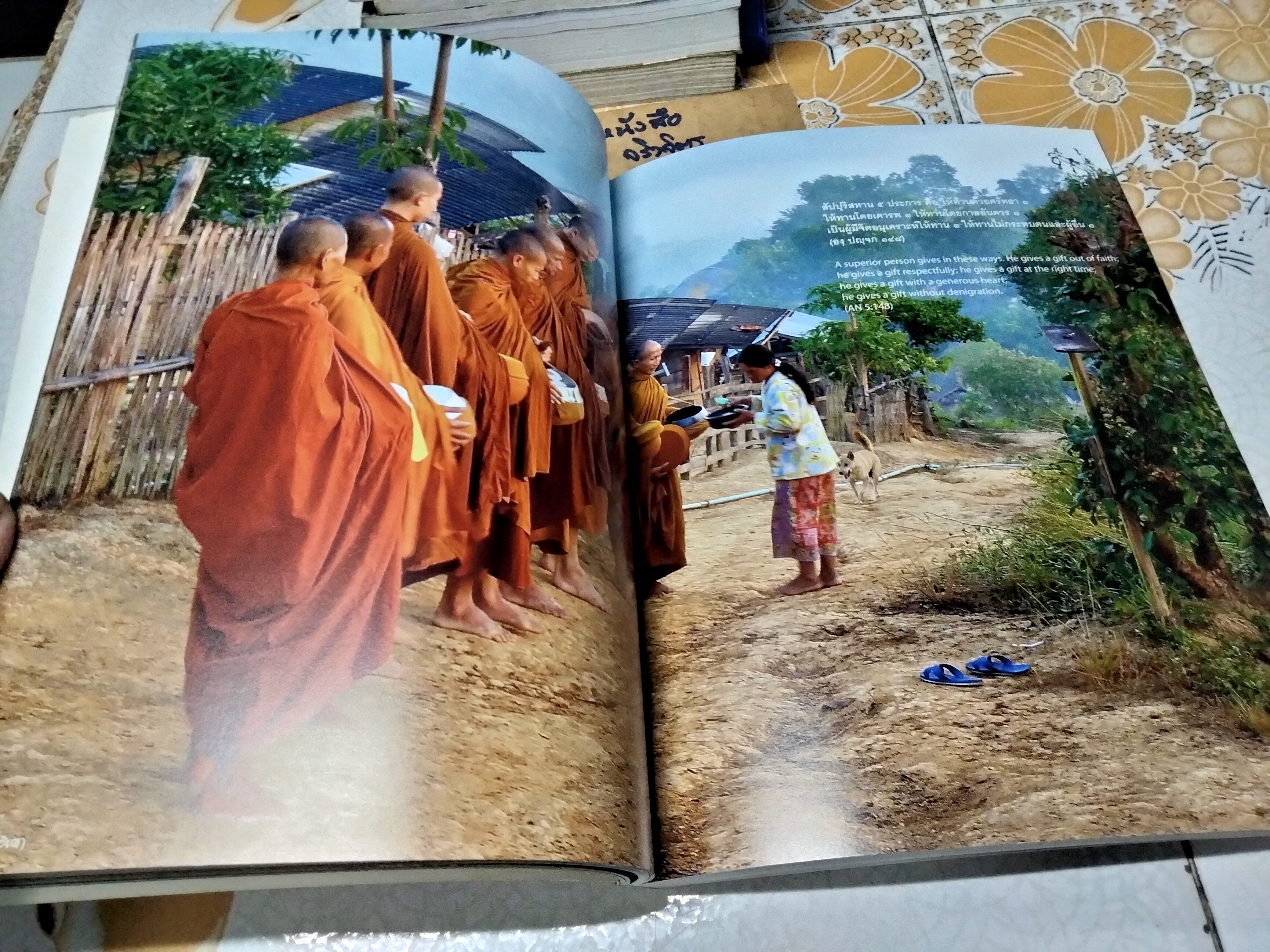 วิถีวิเวก เรียงร้อยภาพศิลป์ จากถิ่นสงบ Dhammafarers , A photographic Journey of the Dhammafarers พร้อมประวัติ พระอาจารย์ชาคิโน**สินค้าหมด**