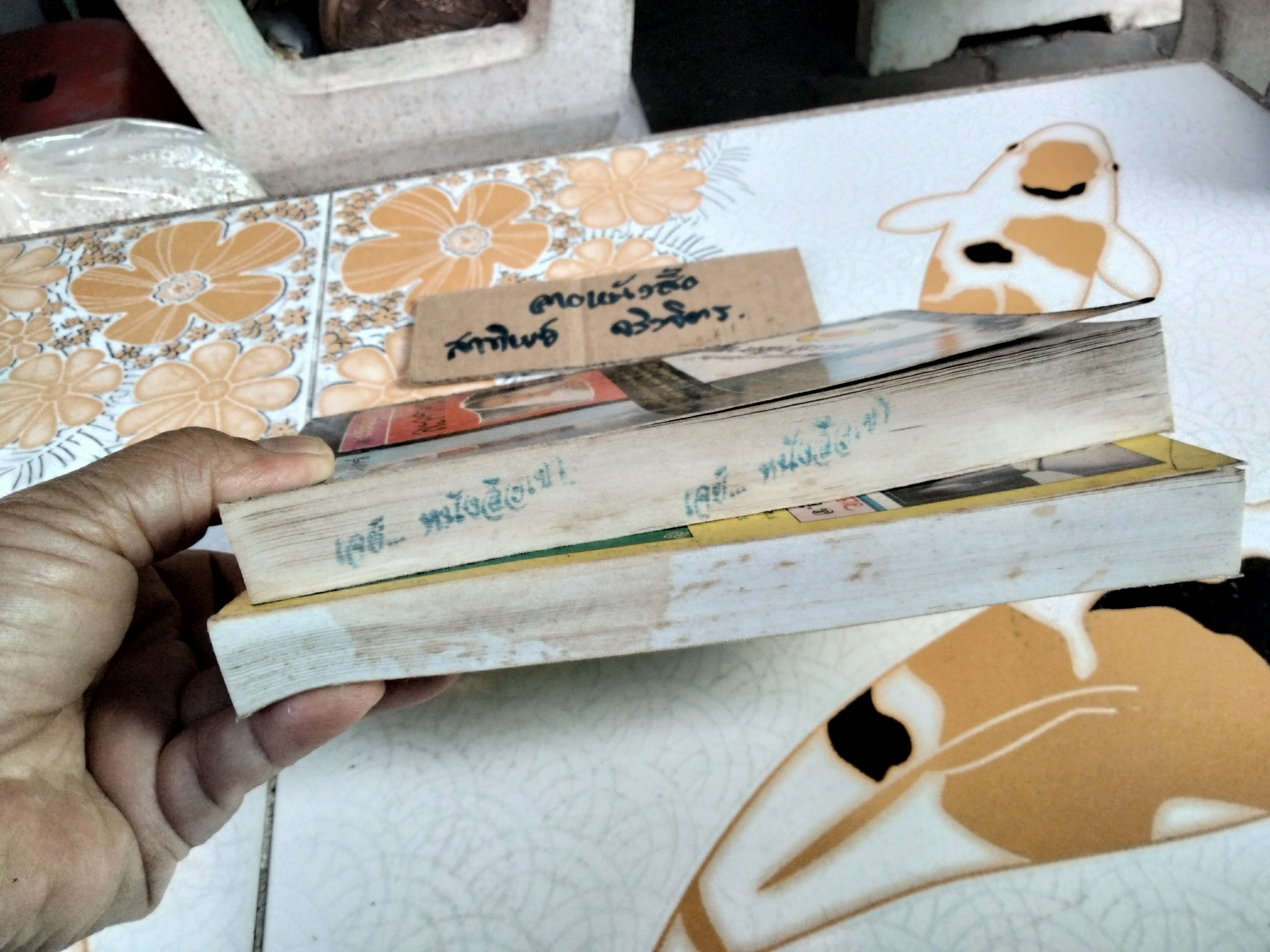 นางทิพย์ (2 เล่มจบ) แก้วเก้า (เช่า+บ้าน) **สินค้าหมด**