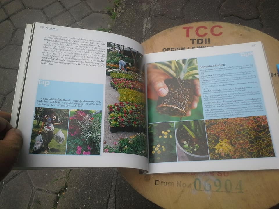 ปลูก หัด จัด วาง ต้นไม้ในกระถาง Planting Combination (พิมพ์ปี 2549) **สินค้าหมด**