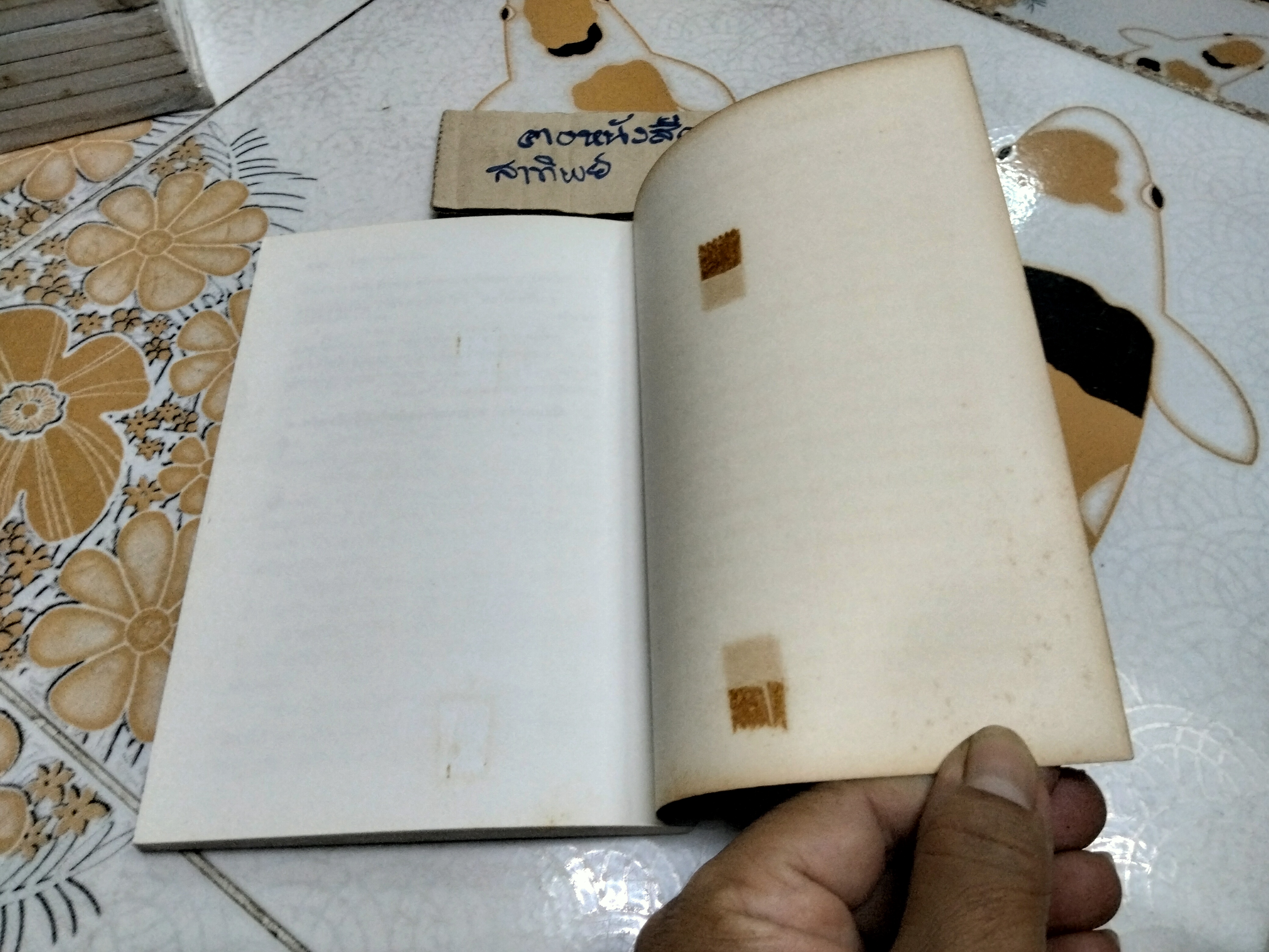 ร.5 กับกรุงสยาม โดย ชาลี เอี่ยมกระสินธุ์ - พิมพ์ครั้งที่ 2/2539