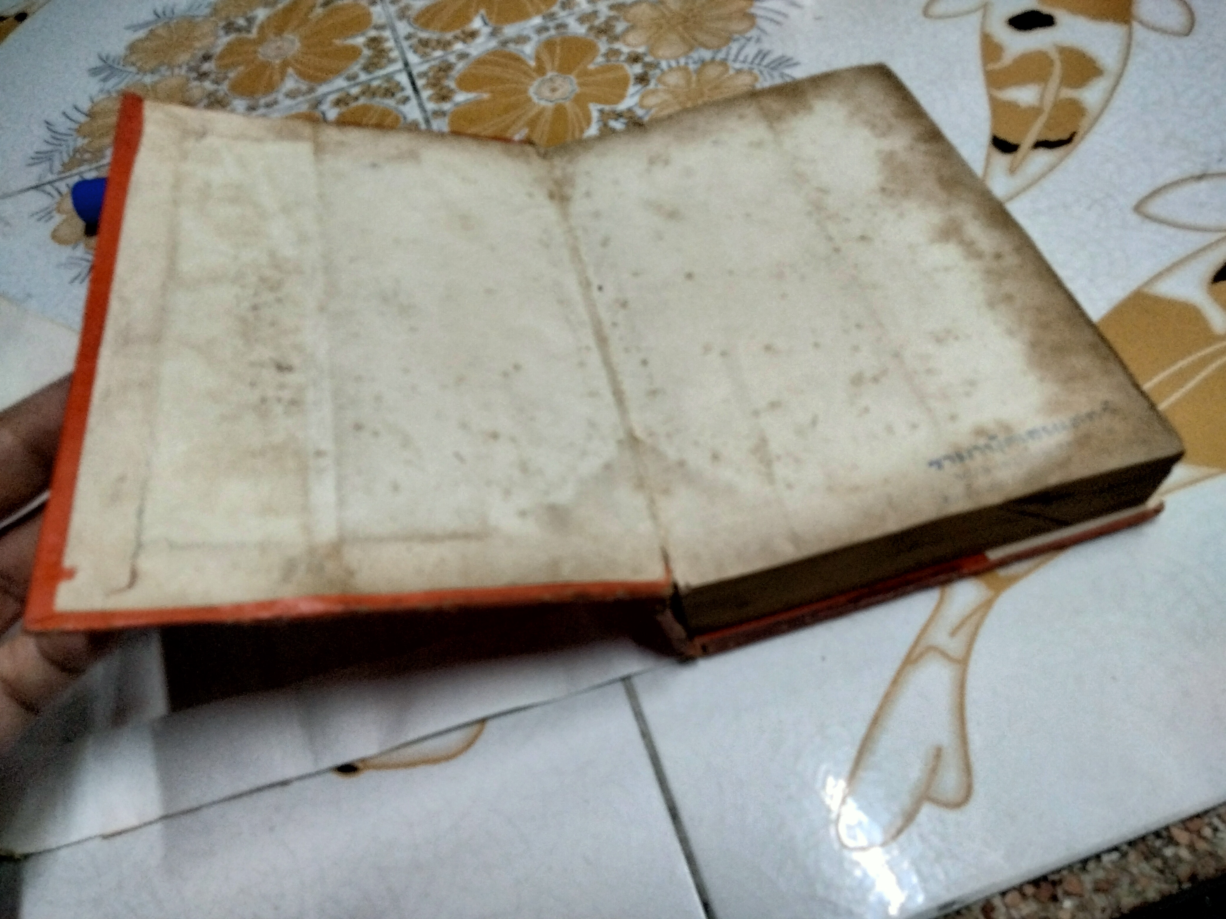 สาวสองพันปีคืนชีพ แปลจาก Ayesha : The Return of She เซอร์ เอช. ไรเดอร์ แฮกการ์ด ไชยวัฒน์ แปล