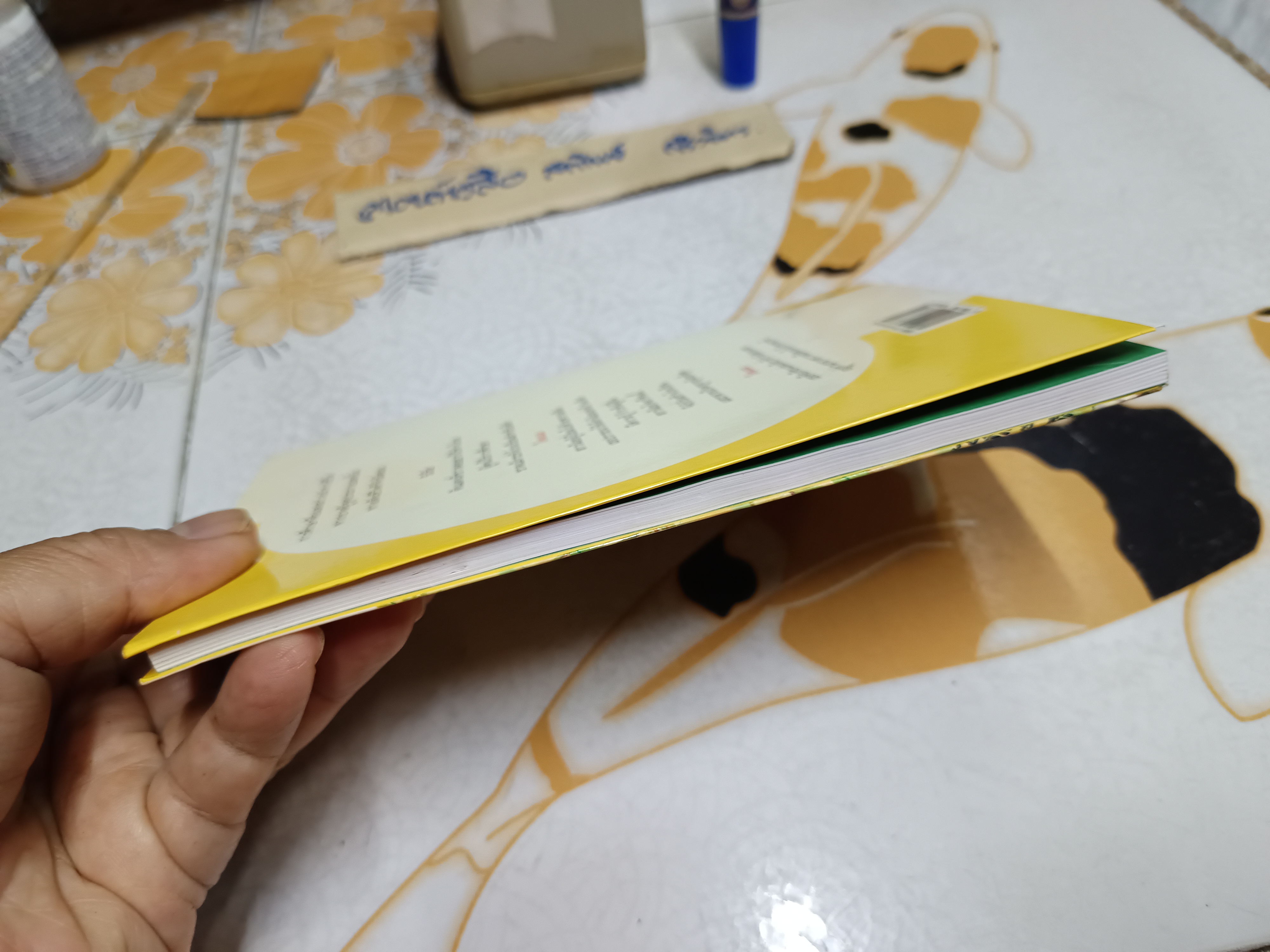 ไหมแม โดย ภานุมาศ ภูมิถาวร โครงการวรรณกรรมเยาวชนโดยนักเขียนไทย สำนักพิมพ์ดอกหญ้า