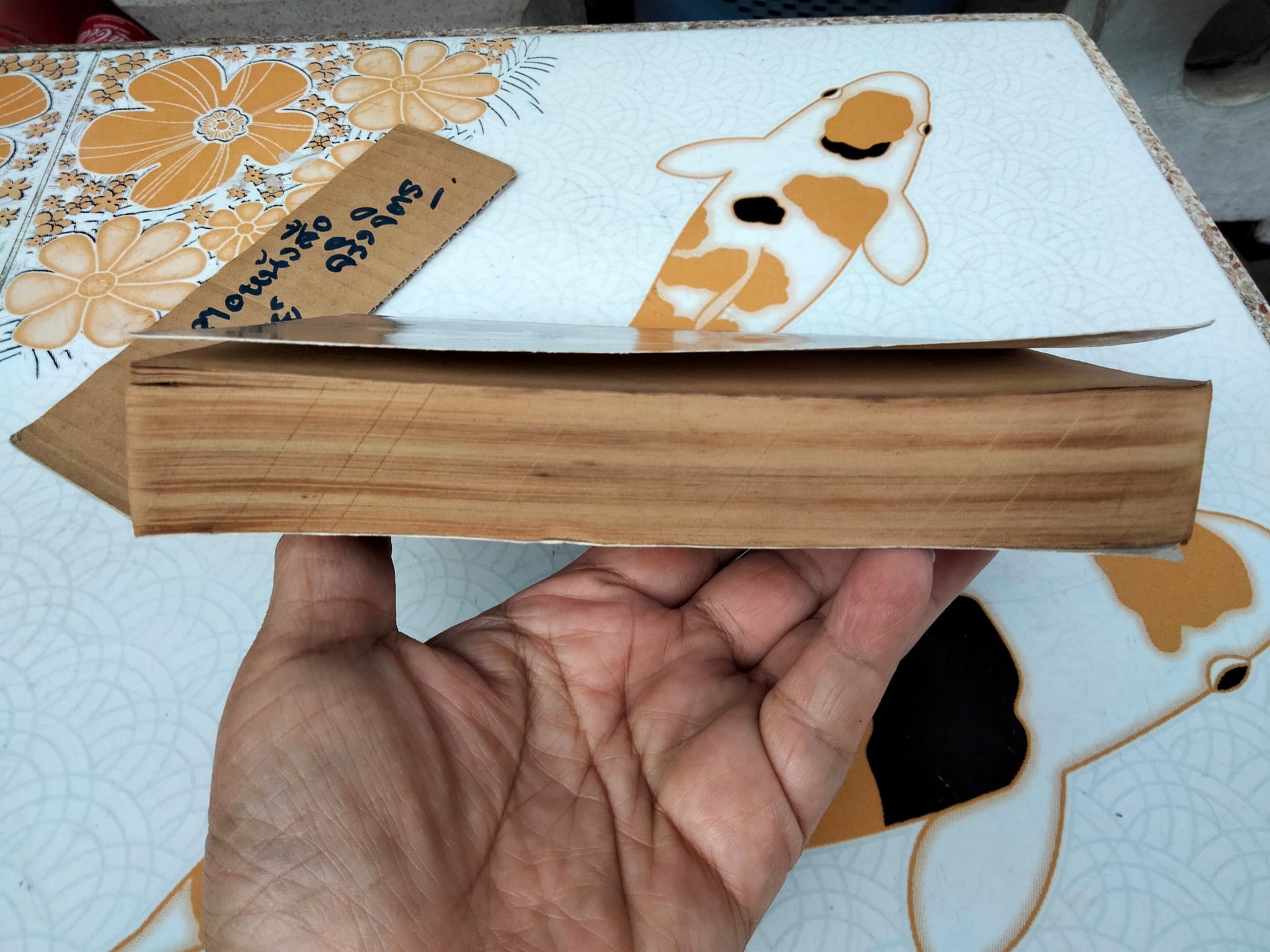 ลุยมิติอลเวง (เล่มเดียวจบ ) ชิอิมะ ทาคาชิ เขียน - สนพ. หมึกจีน