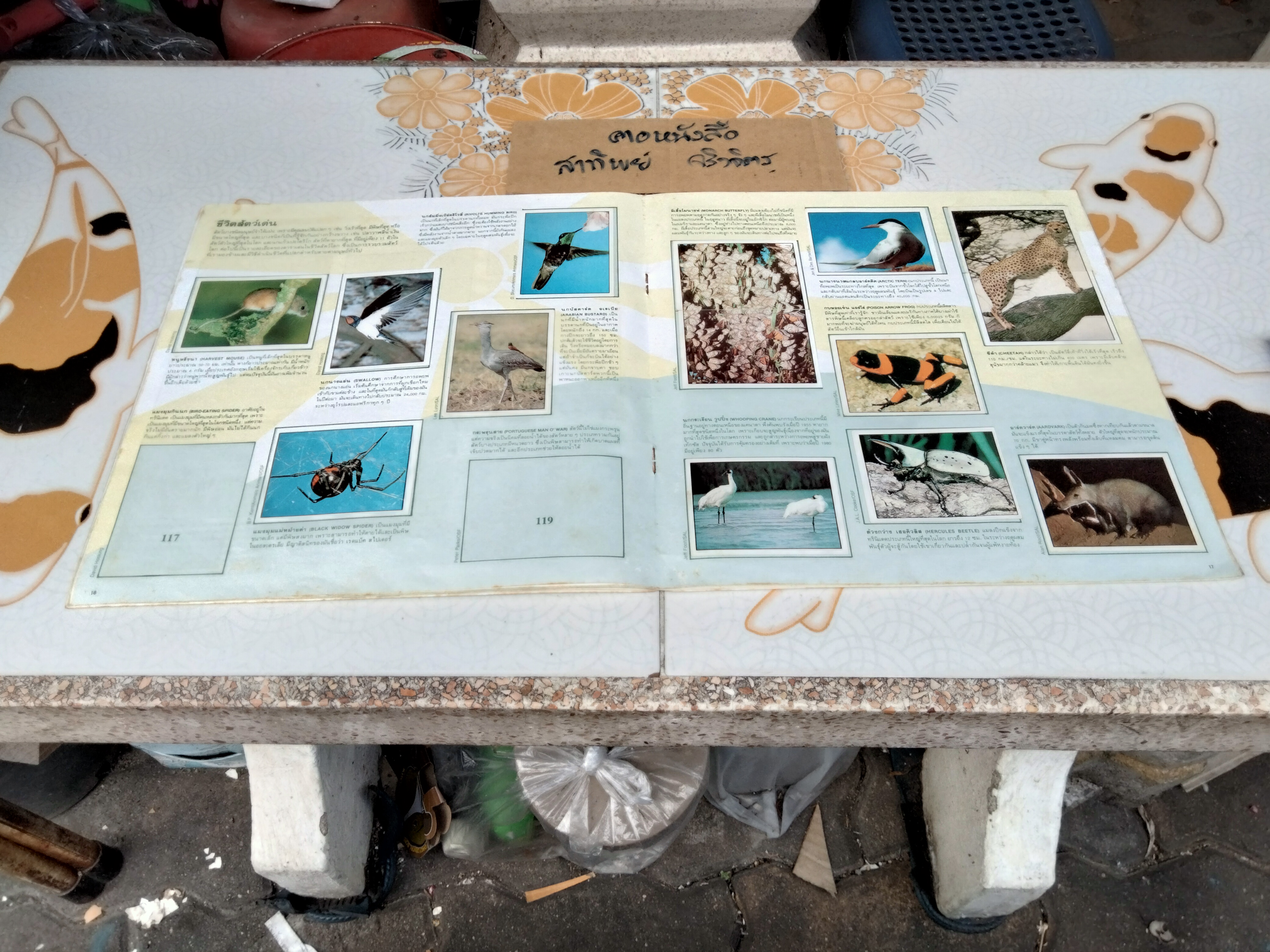 สมุดสะสมสติกเกอร์ ชีวิตสัตว์โลก (แปะสติกเกอร์ 178 รูป จากทั้งหมด 240 รูป) **สินค้าหมด**