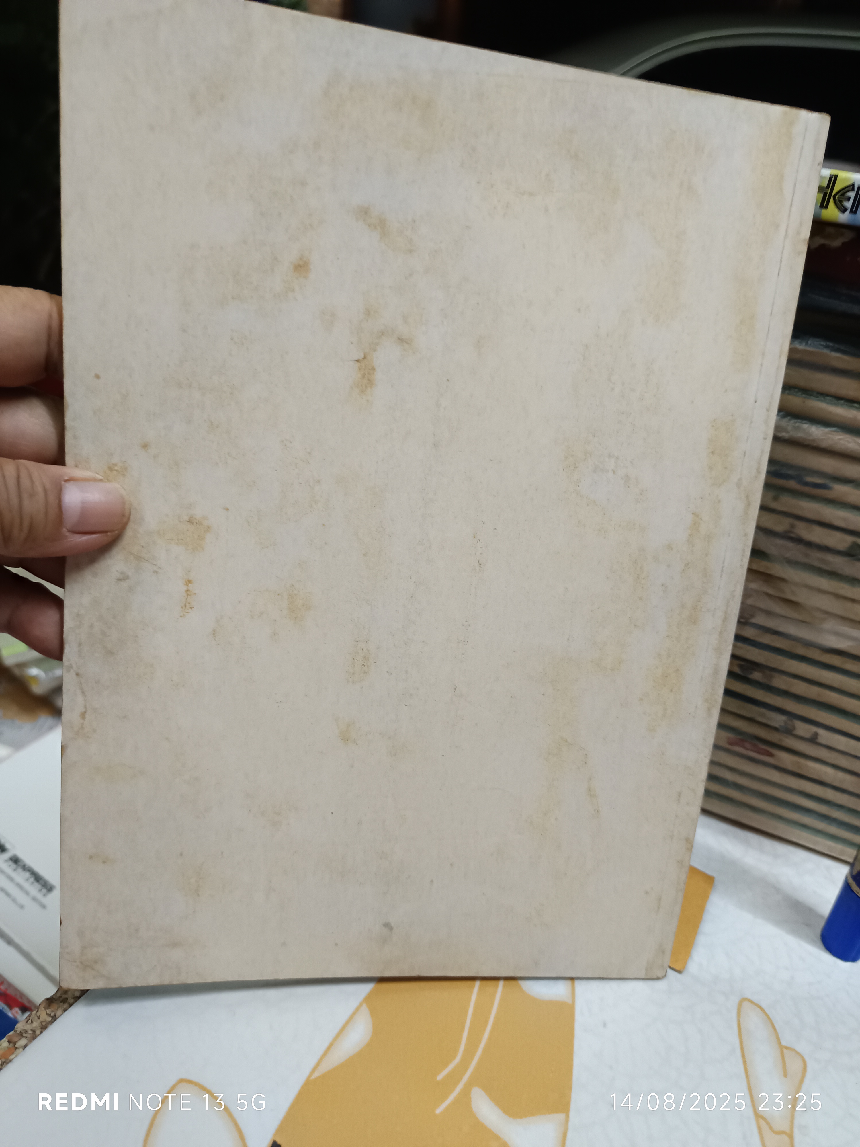 วัดใหญ่ชัยมงคล ประวัติ การปรับปรุงพระอุโบสถ เมื่อปีพ.ศ 2520