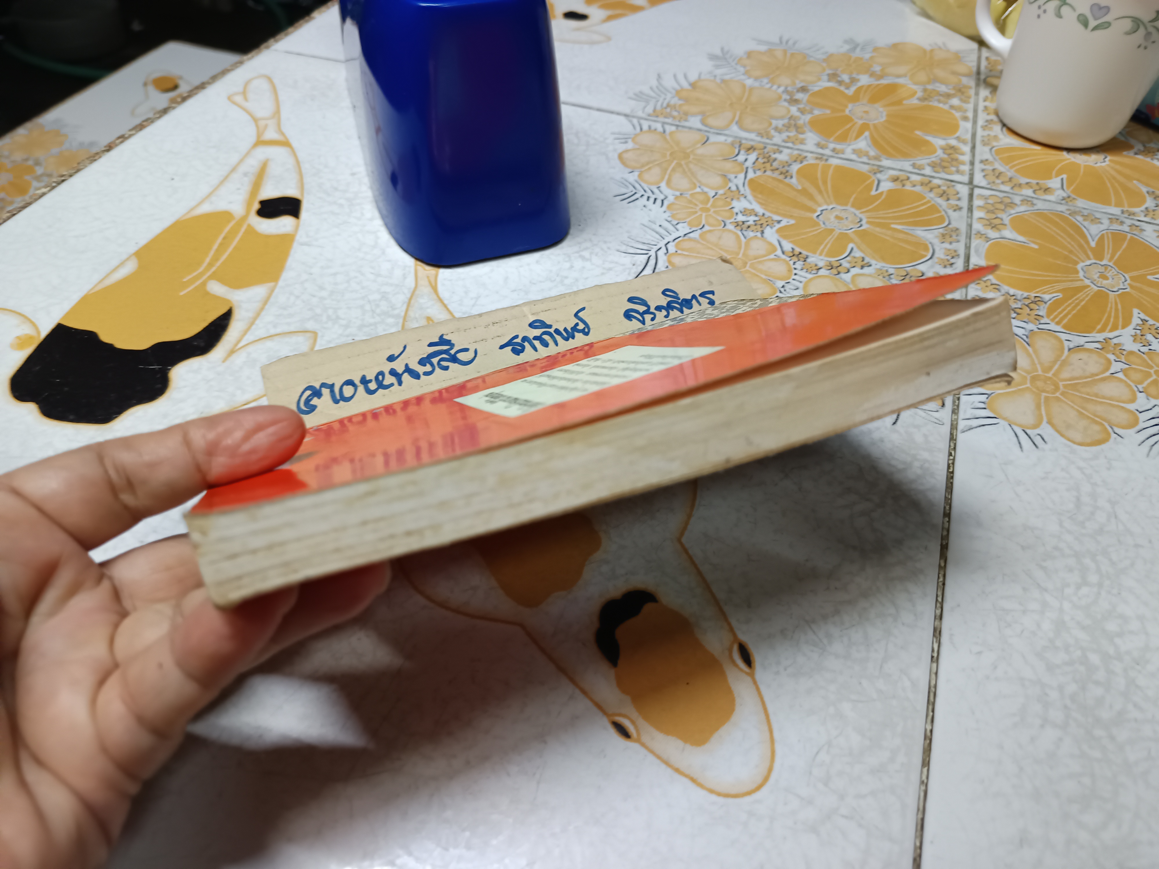 ใกล้กระโปรงเอาไว้ให้อบอุ่น โดย ดำรงค์ อารีกุล พิมพ์ครั้งแรก ไม่ระบุปีที่พิมพ์ สำนักพิมพ์ เทศภักดิ์ **สินค้าหมด**