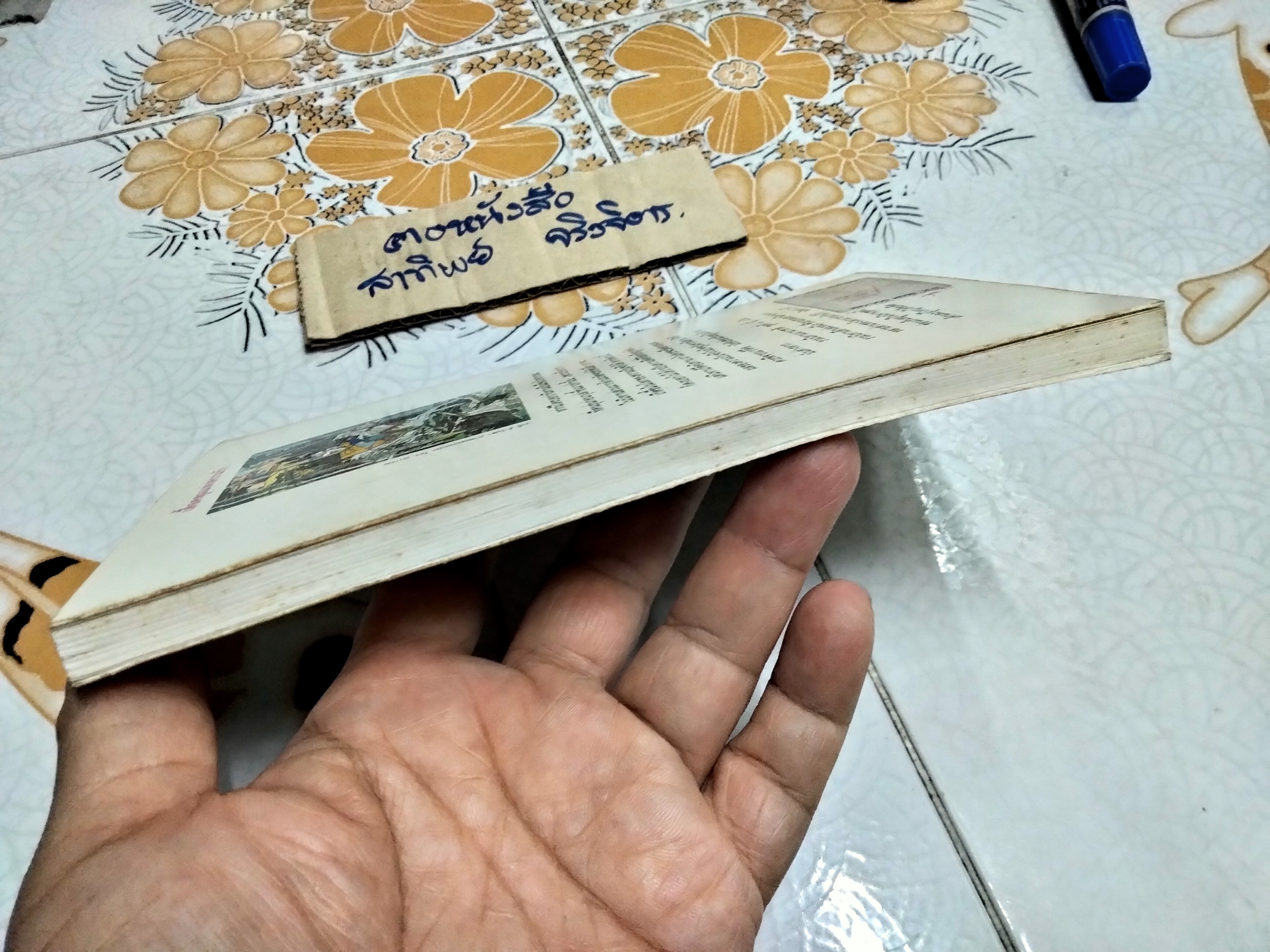 เสื้อคลุมแห่งความรัก - รวมเทพนิยายนานาชาติชุดที่ 3 , โกศล อนุสิม แปล **สินค้าหมด**