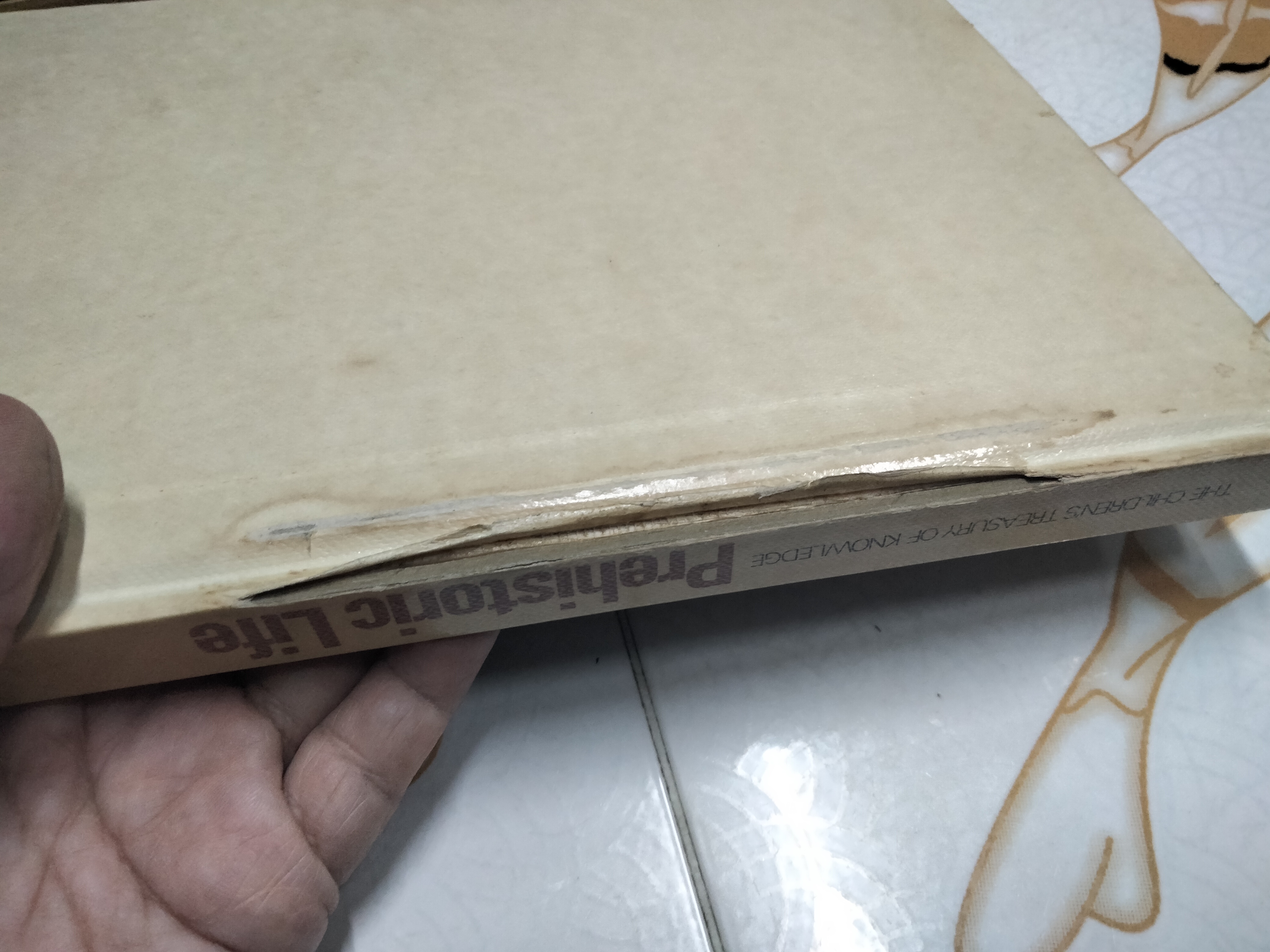 The Children's Treasurey of Knowledge (10 เล่มชุด)