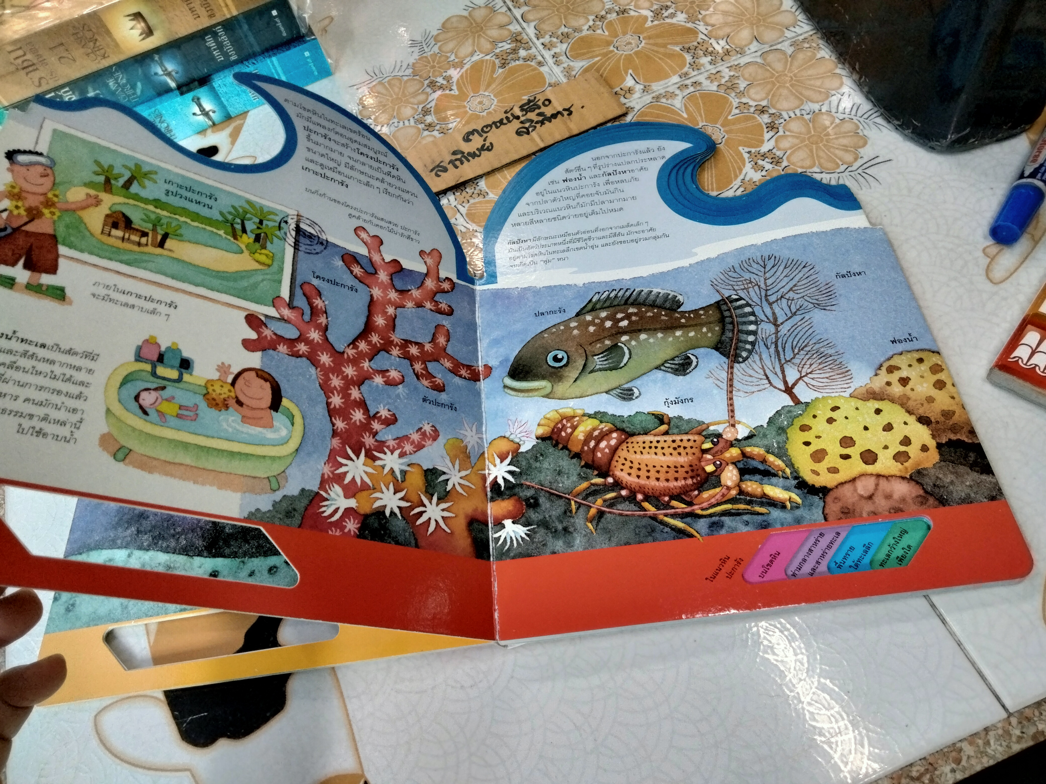 ในท้องทะเล - หนังสือชุดเรียนรู้โลกรอบตัว ชุดที่ 2 - สนพ. Happy Kids **สินค้าหมด**