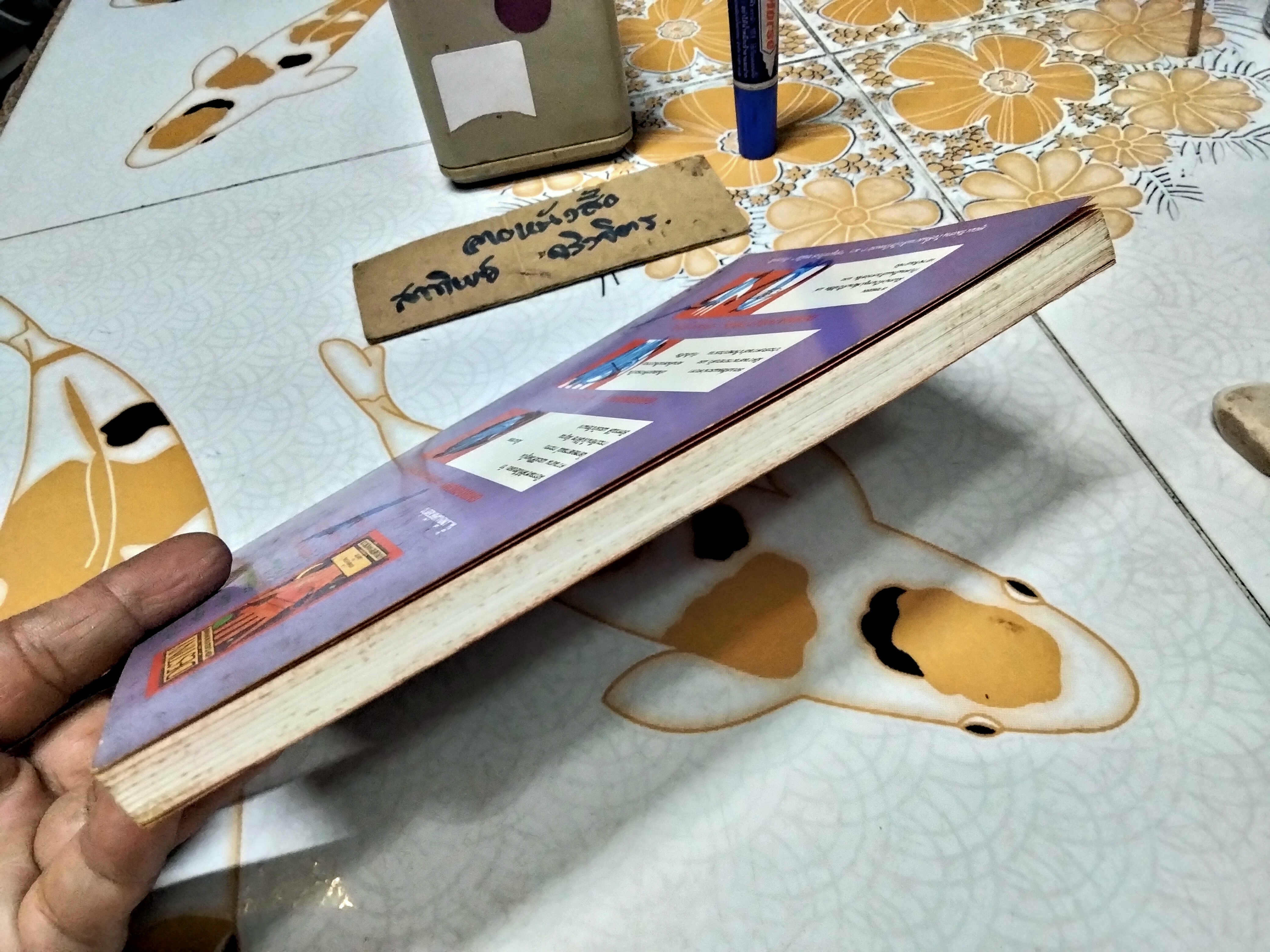 สนุกกับลายมือ SALLY FRY & ROSALIND CRAIG เขียน ดาวเนปจูน แปล