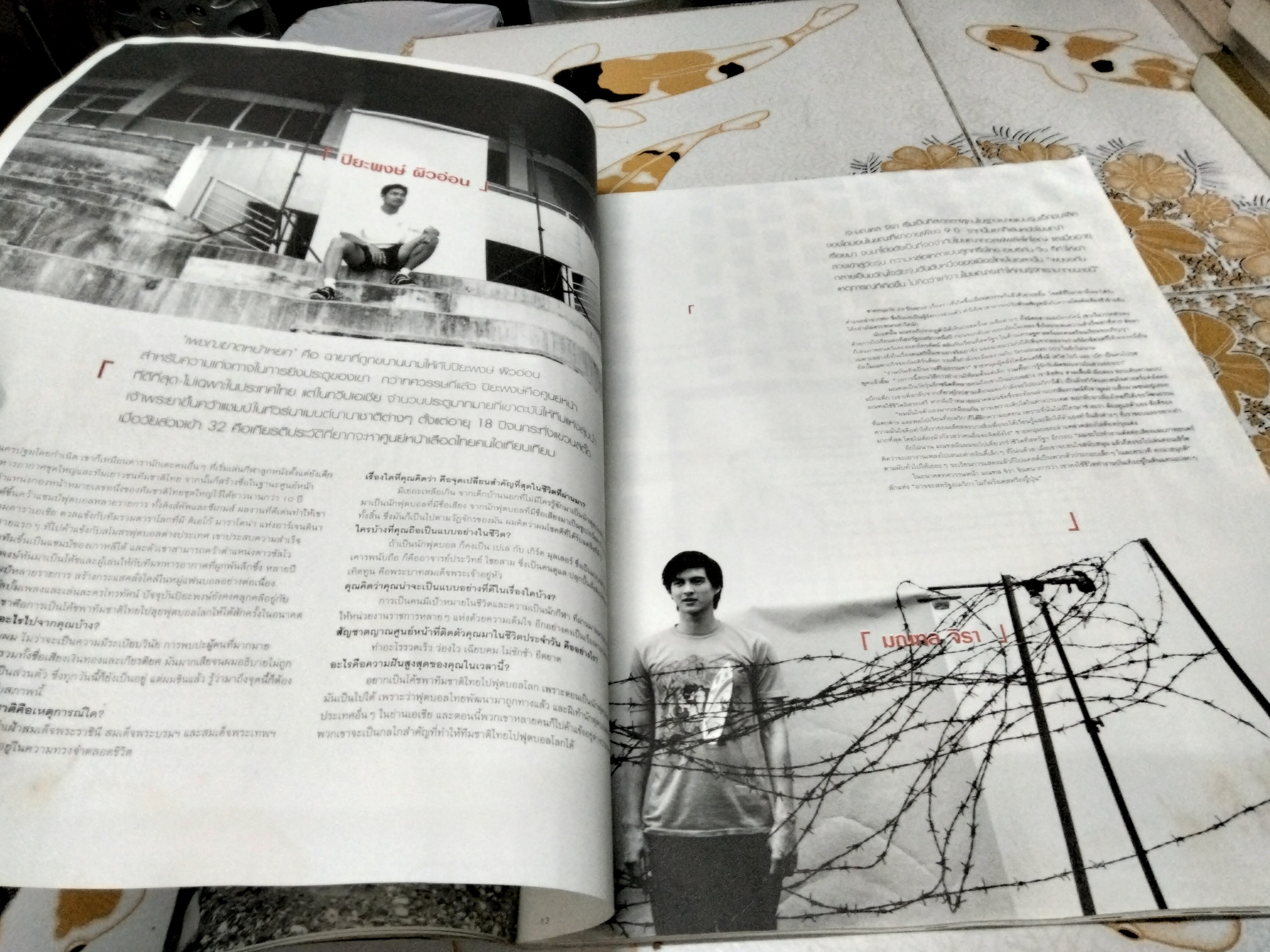 นิตยสาร a day special ฉบับ idols หน้าปก เบิร์ด ธงไชย (ตำหนิ หนังสือโดนน้ำ มีคราบรา)