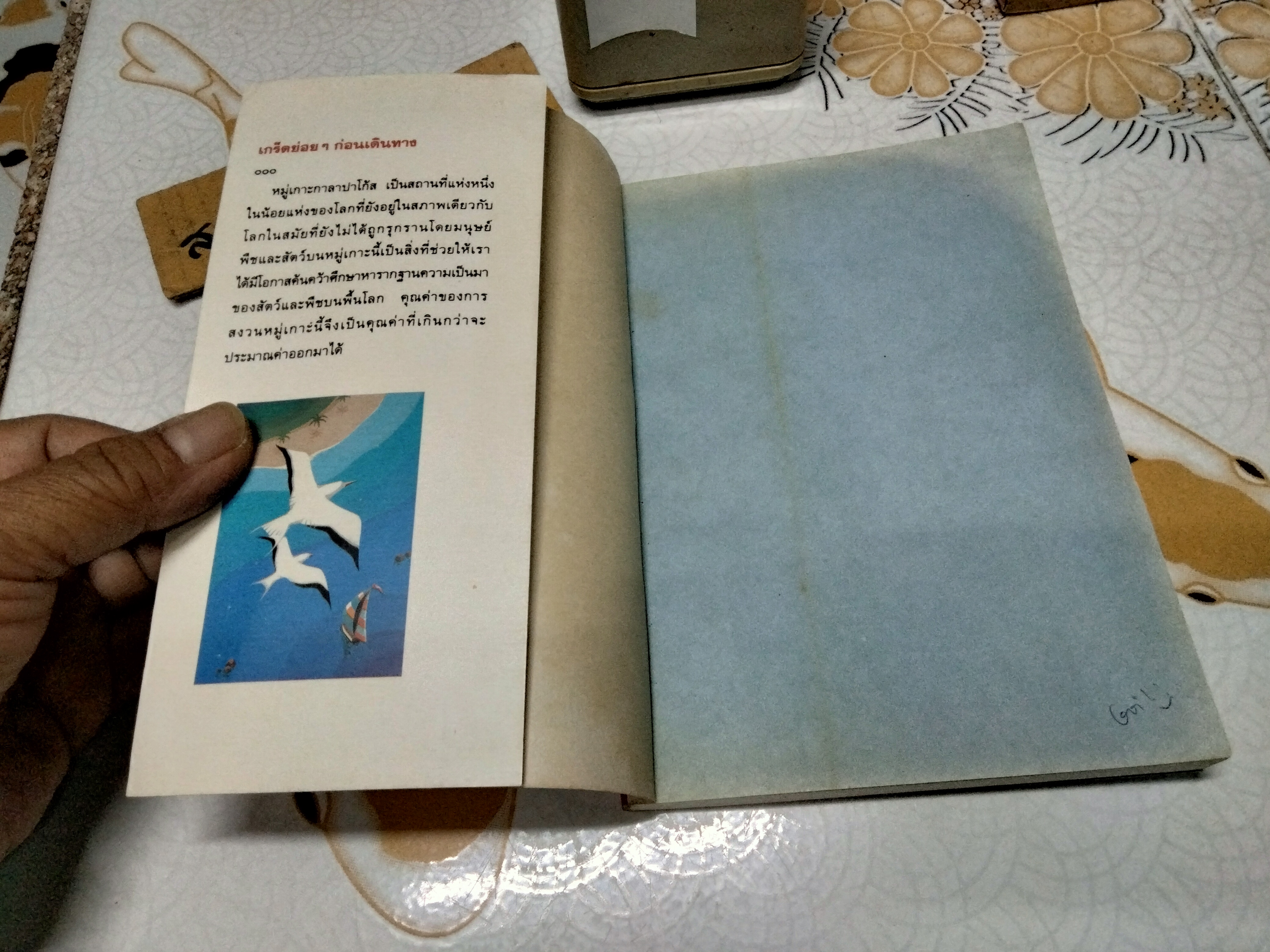 กาลาปาโก้ส - จันทรำไพ **สินค้าหมด**