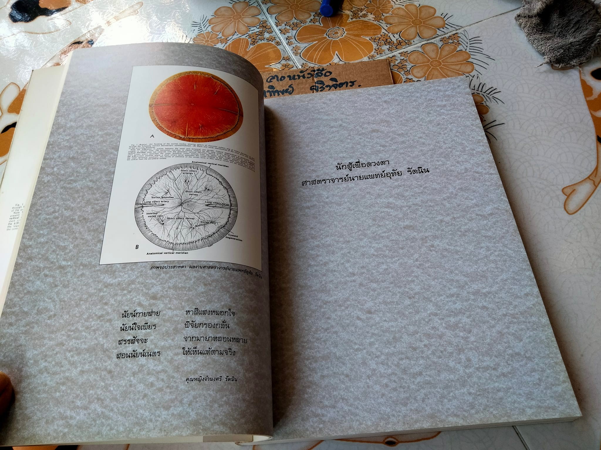 นัยน์กาย - นัยน์ใจ ของ รฦก งานพระราชทานเพลิงศพ ศาสตราจารย์ นายแพทย์อุทัย รัตนิน **สินค้าหมด**