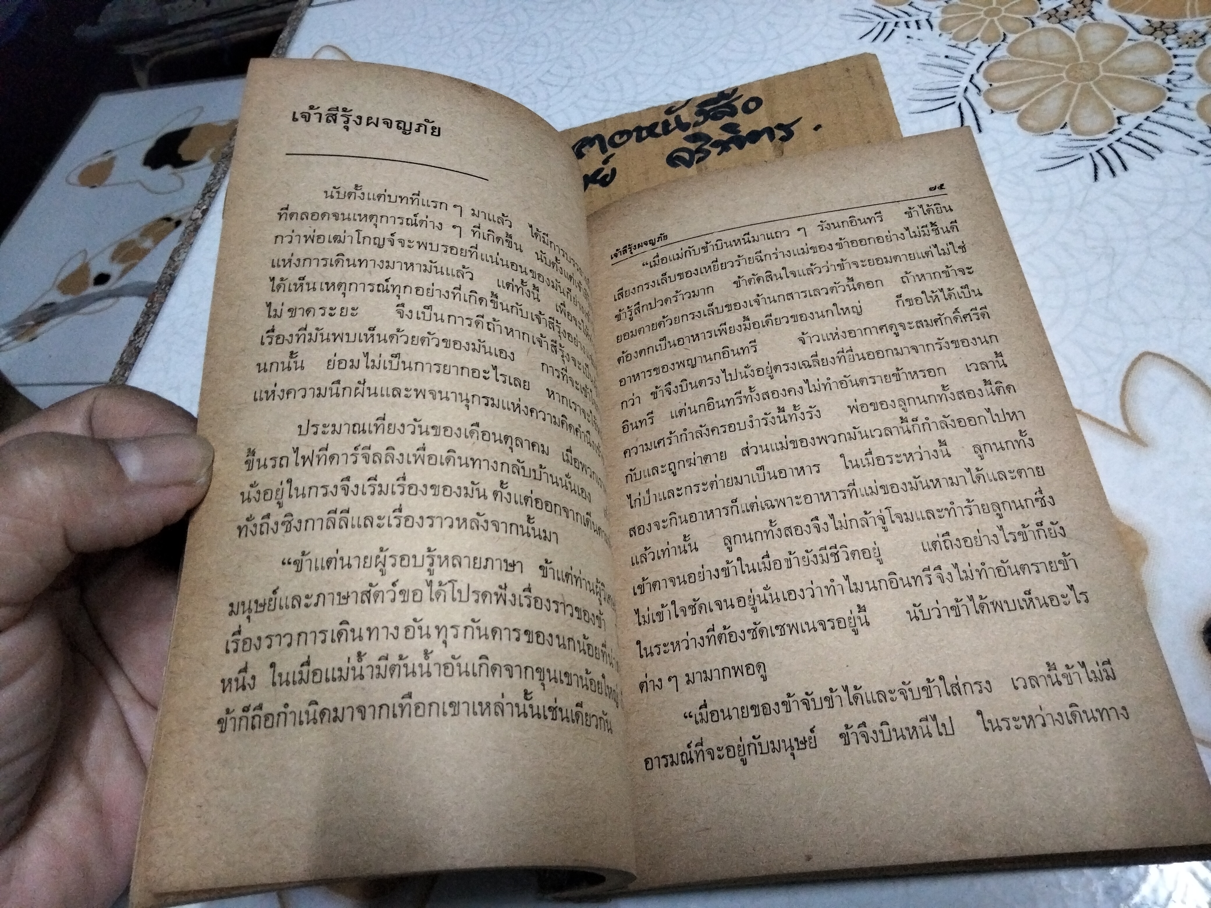 เจ้าสีรุ้ง (พิมพ์ครั้งแรก พ.ศ.2514) หนังสืออ่านสำหรับเยาวชน ตามโครงการหนังสือเด็กของ กองบรรณาธิการชัยพฤกษ์ ชุด 5 อันดับ 4 ***สินค้าหมด**