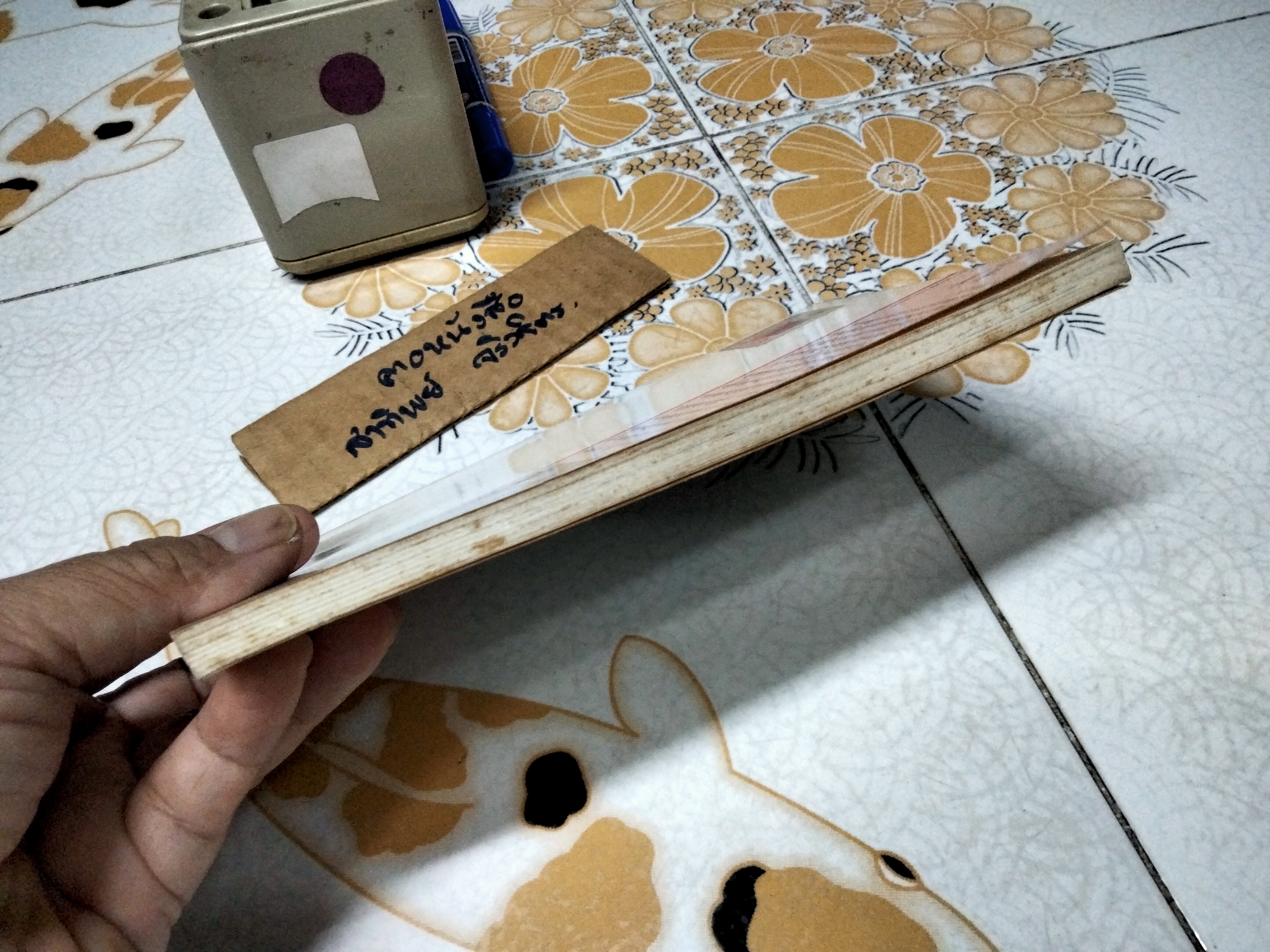 เพนกวินอลเวง (Mr. Popper's Penguins) - ผลงานของ ริชาร์ด และ ฟลอเรนซ์ แอตวอเตอร์ (Richard and Florence Atwater) แปลโดย ปิยะภา