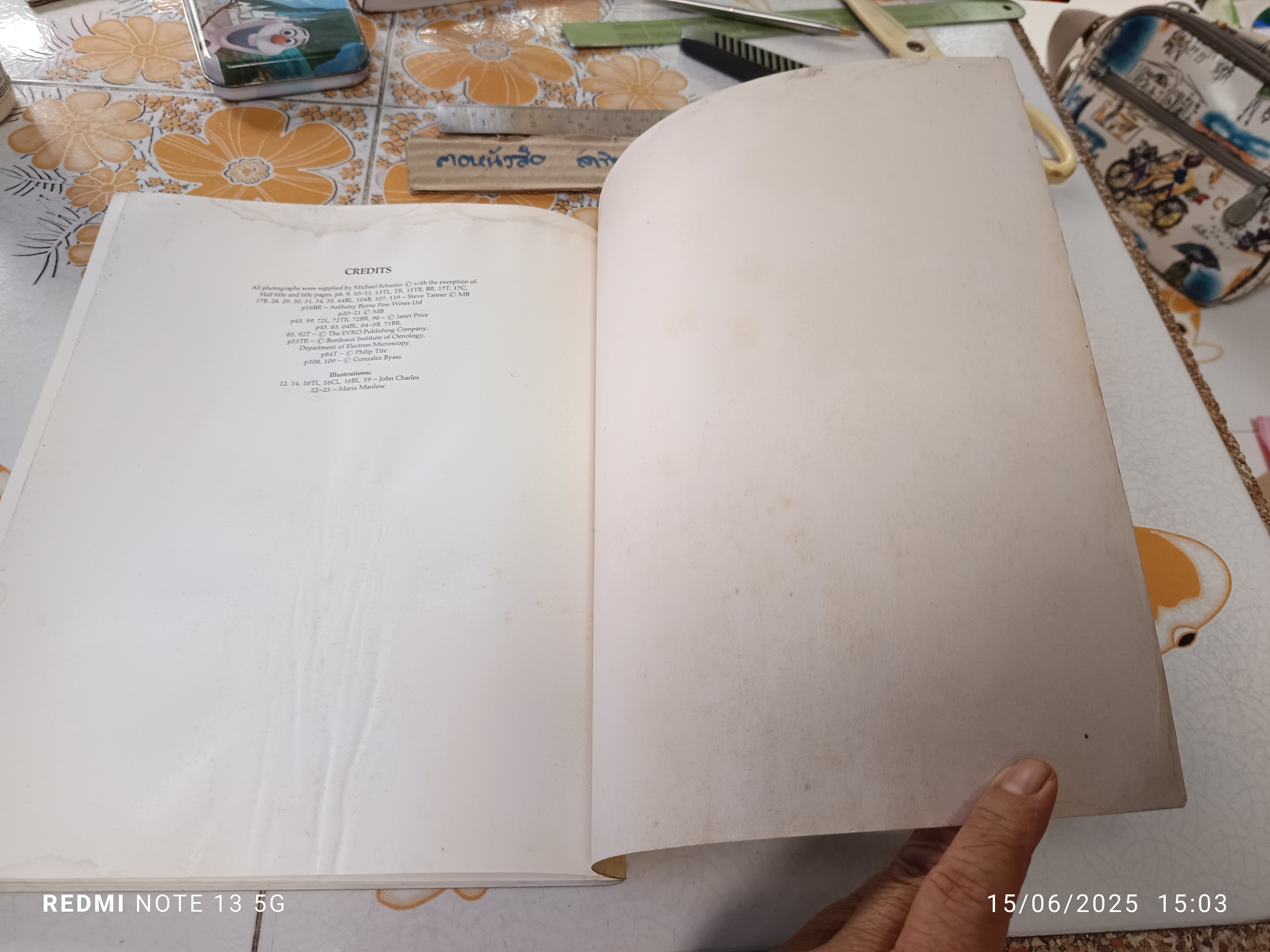 Understanding Wine : A Guide to Winetasting and Wine Appreciation By Michael Schuster