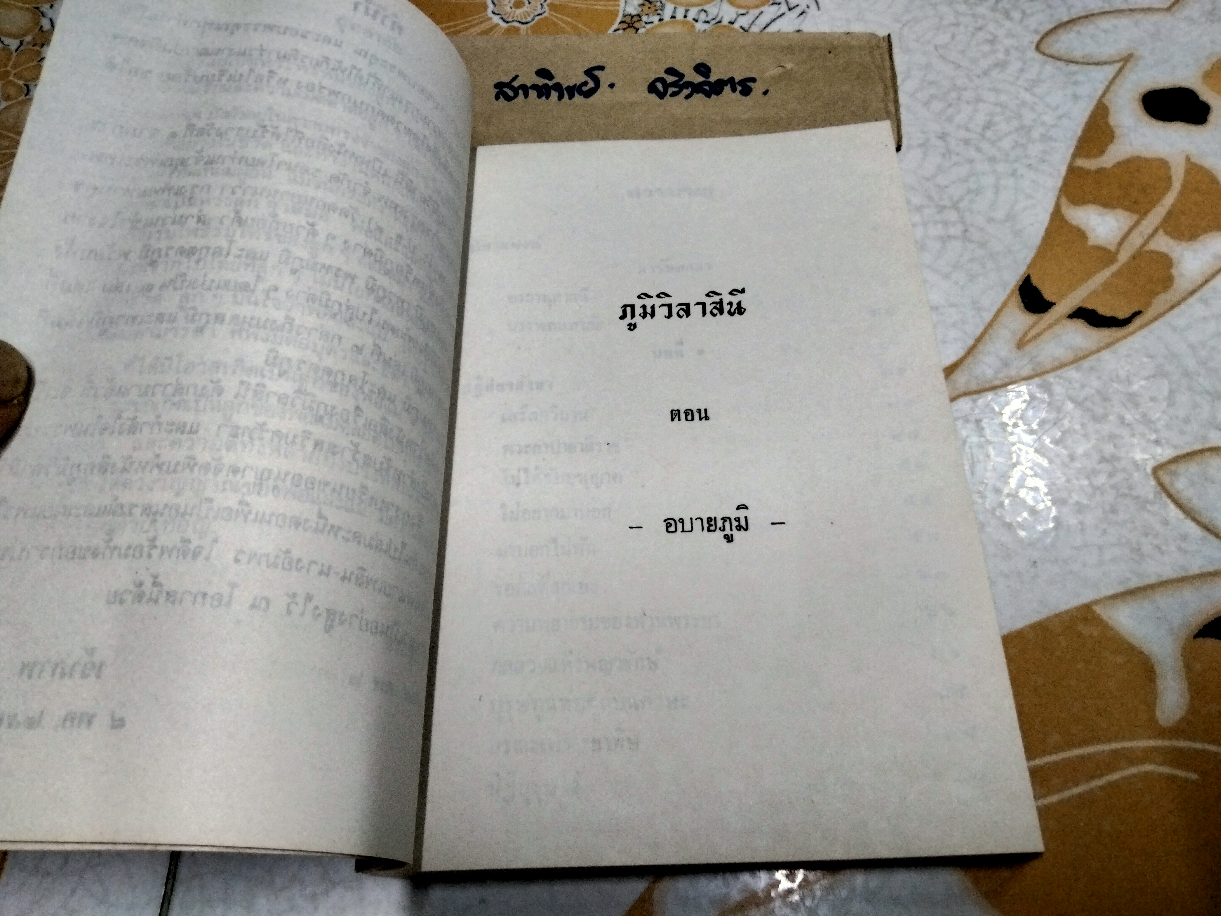 ภูมิ วิลาสินี ตอน มนุสสภูมิ และ เทวภูมิ ผลงานของ ท่านเจ้าคุณพระเทพมุนี