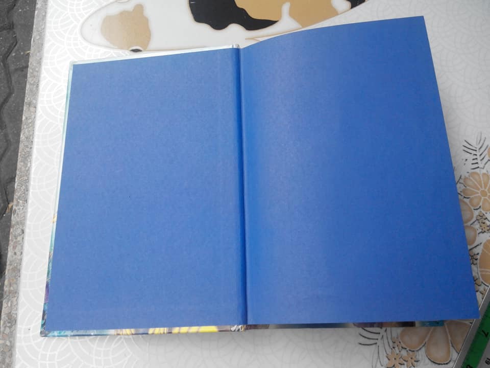 Geronimo Stilton and the Kingdom of Fantasy no.6 - The Search for Treasure ** สินค้าหมด**