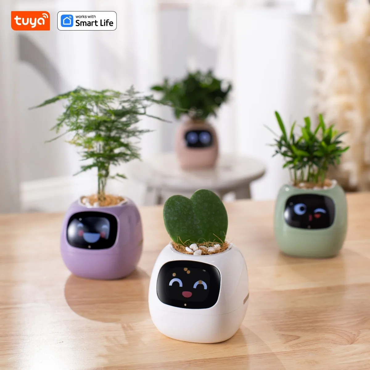 หุ่นยนต์พืชไอวี่ Smart planter Endless Ivy