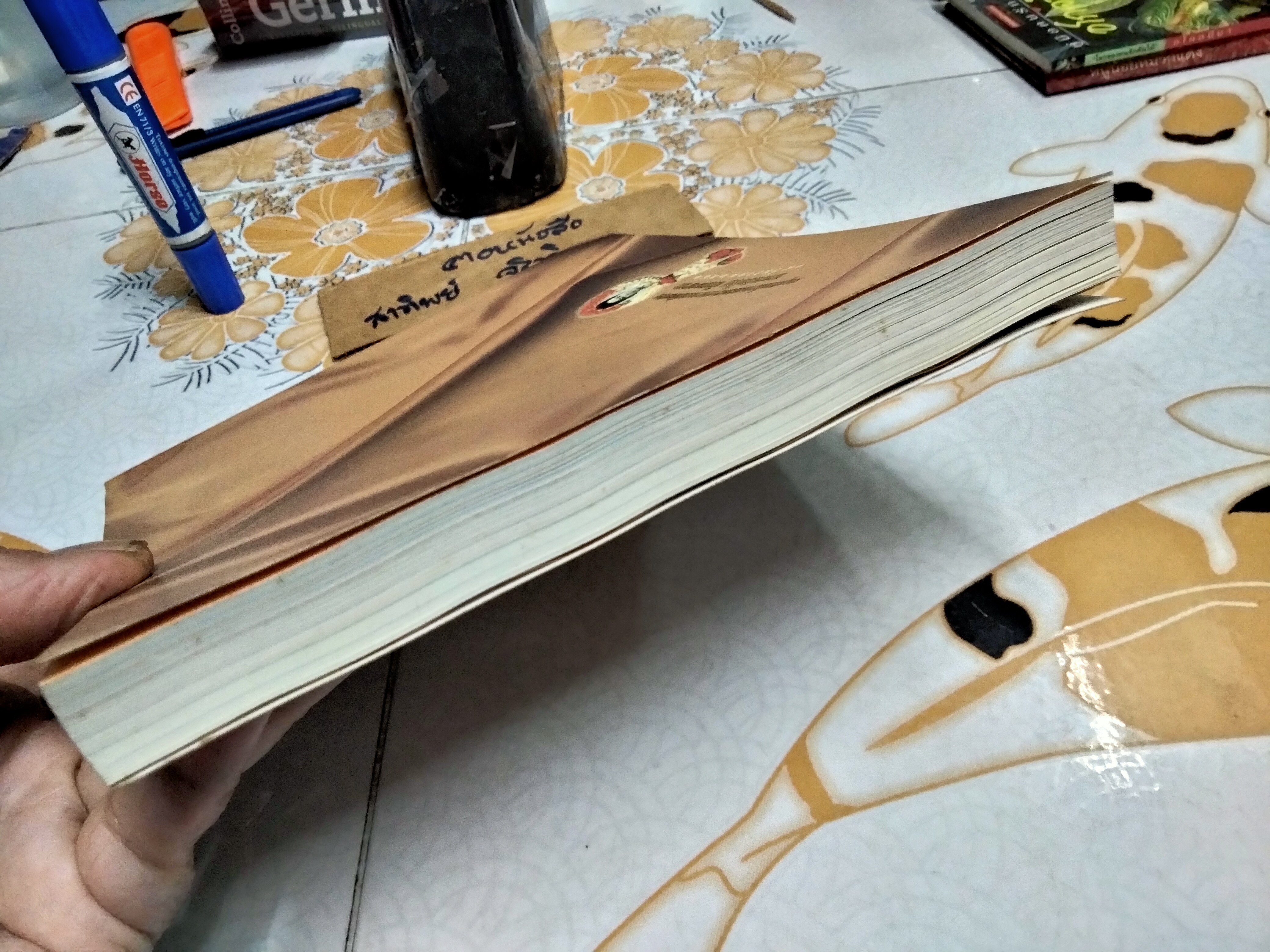 อนุสรณ์งานพระราชทานเพลิงศพ นางประไพ จักกะพาก เมื่อวันที่ 19 ธันวาคม 2542