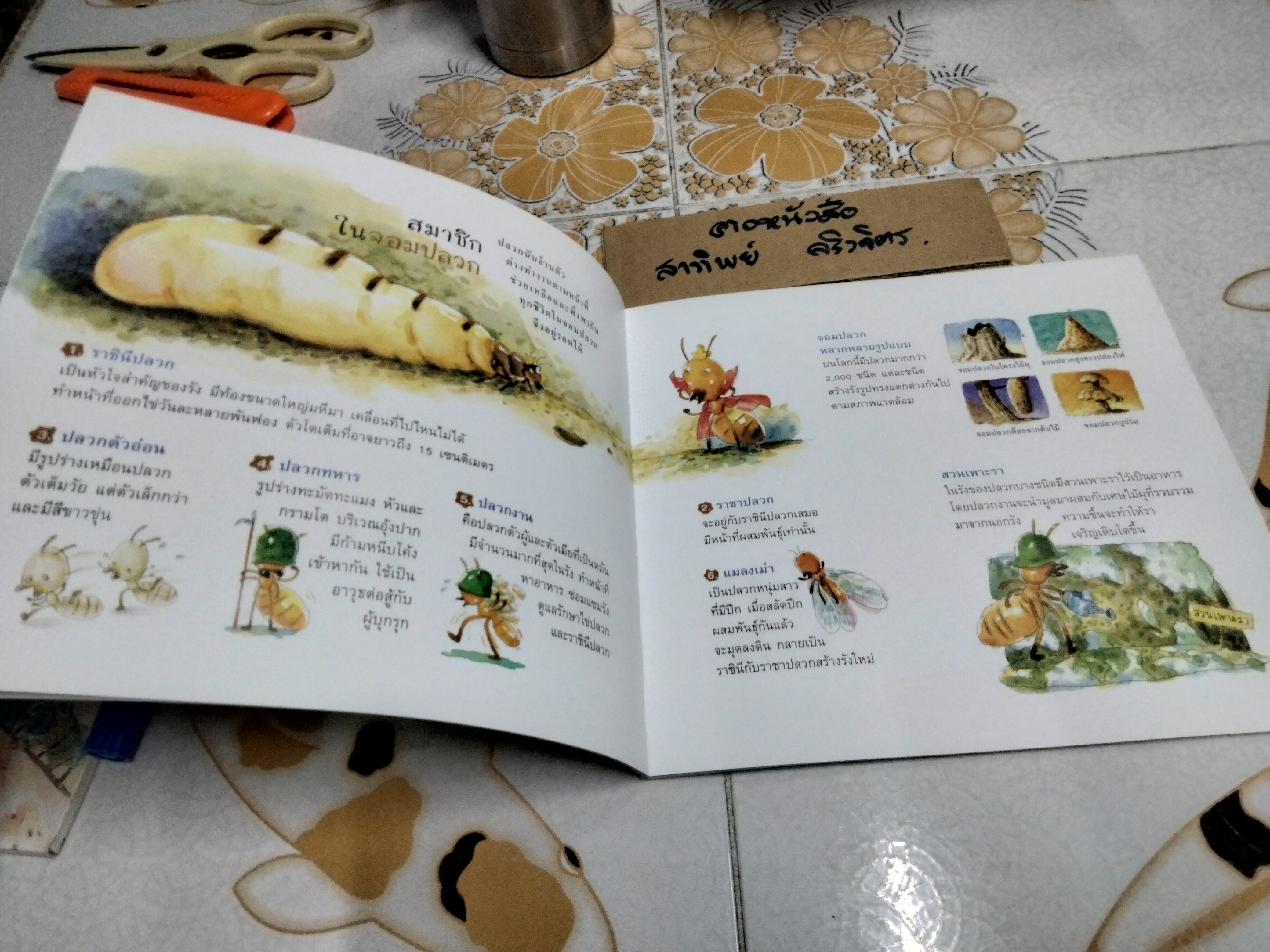 บ้านฉันมหัศจรรย์ (ชุดวิทยาศาสตร์รุ่นเยาว์-แปลกแต่จริง)