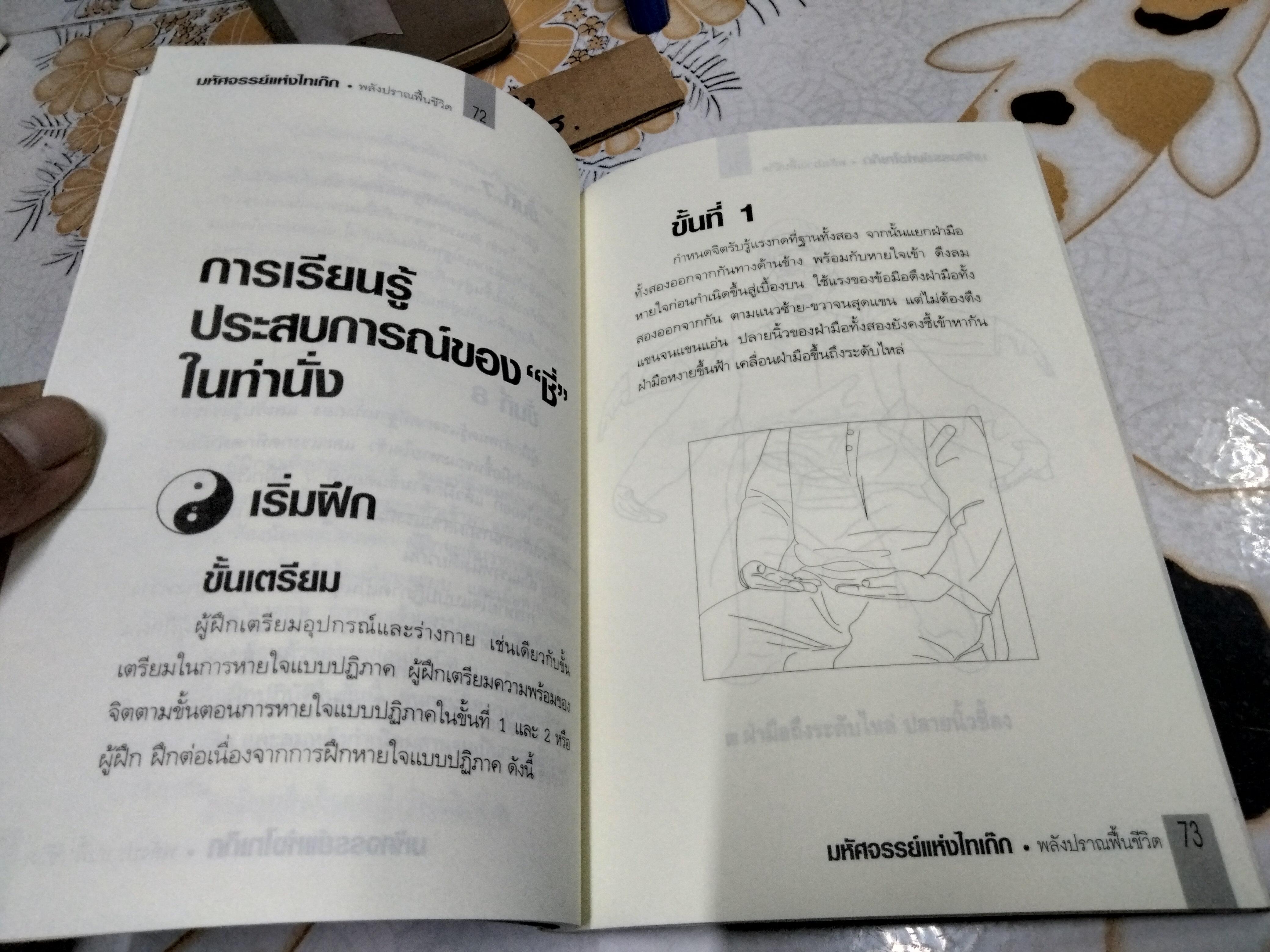 มหัศจรรย์แห่งไทเก๊ก-พลังปราณฟื้นชีวิต เรียบเรียงโดย สุพัตรา แซ่ลิ่ม